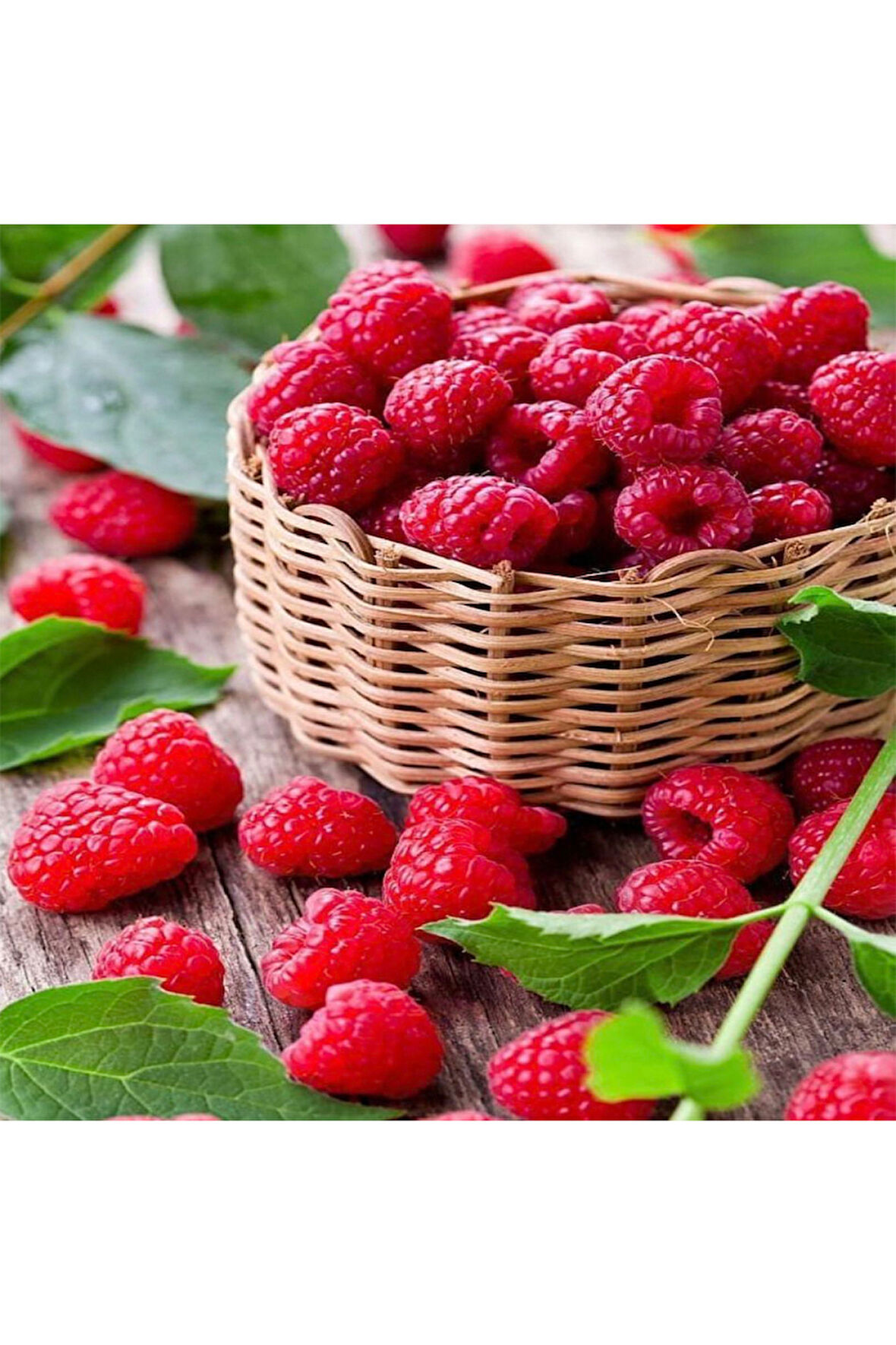 Canvas Lezzetli Ahududu Sepeti Sayılarla Boyama Seti   Kasnaklı 40 x 50 cm