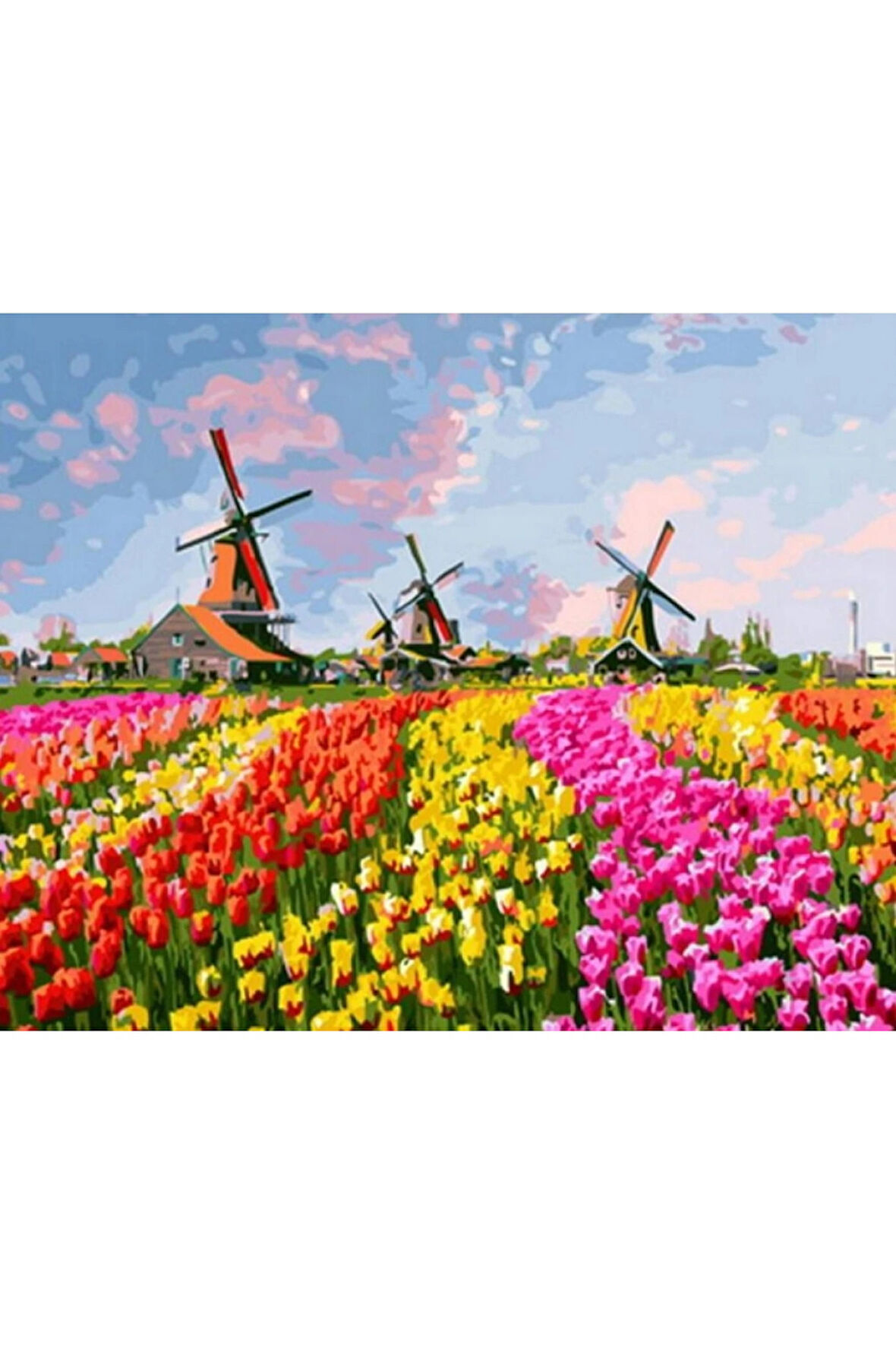 Canvas Renkli Laleler Ve Yeldeğirmenleri Sayılarla Boyama Seti   Kasnaklı 40 x 50 cm