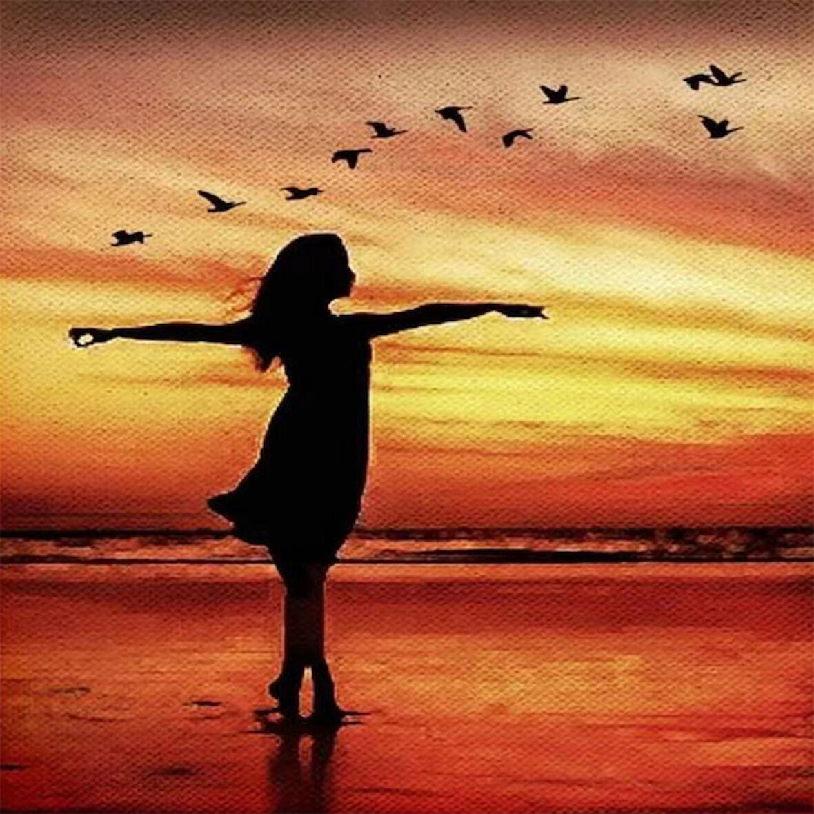 Canvas Martılarla Dans Sayılarla Boyama Seti   Kasnaklı 40 x 50 cm