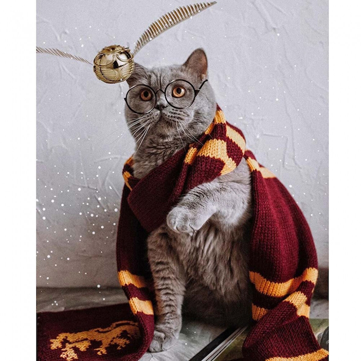 Canvas Atkılı Kedi Sayılarla Boyama Seti  Kasnaklı 40 x 50 cm