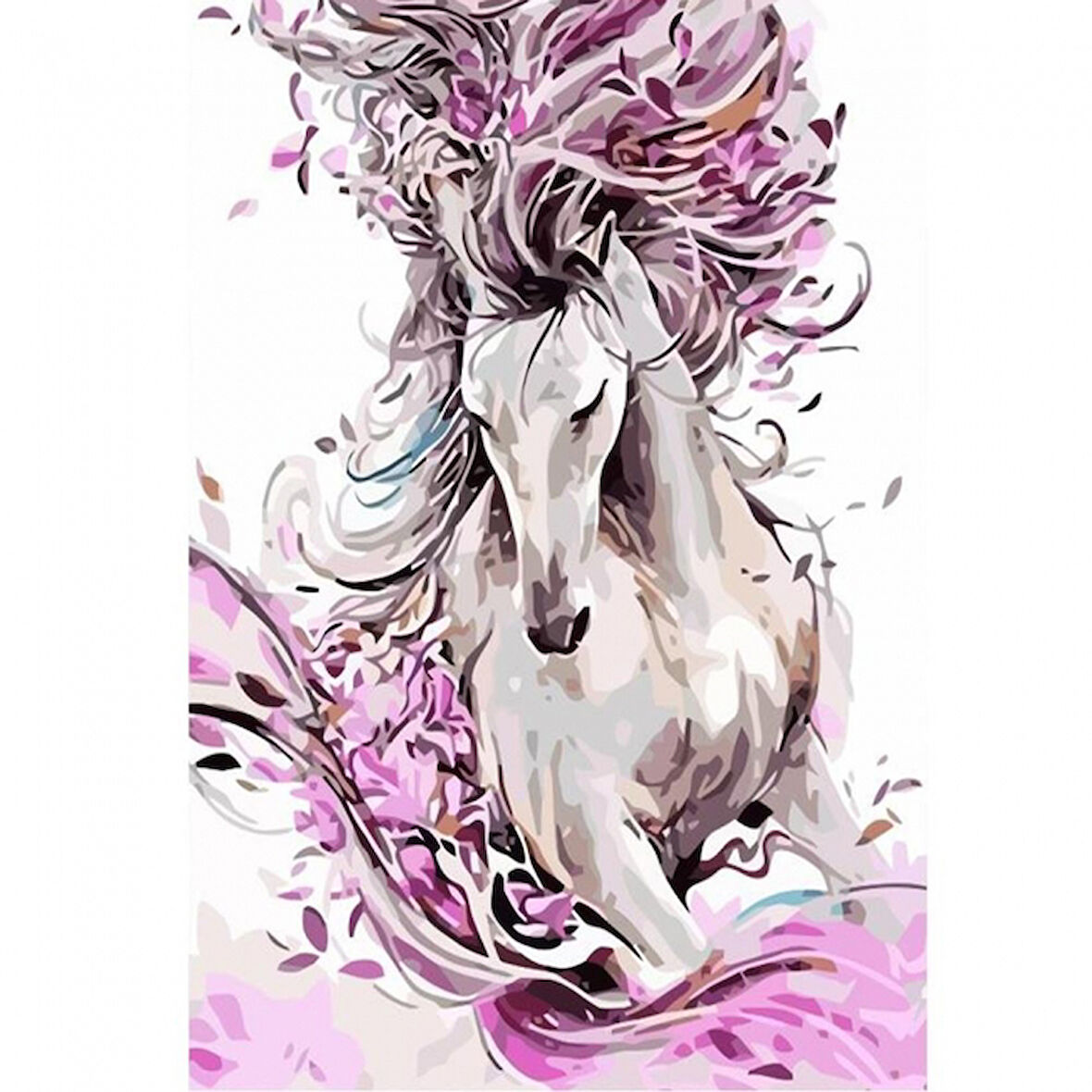 Canvas Masal ve At Sayılarla Boyama Seti  Kasnaklı 40 x 50 cm