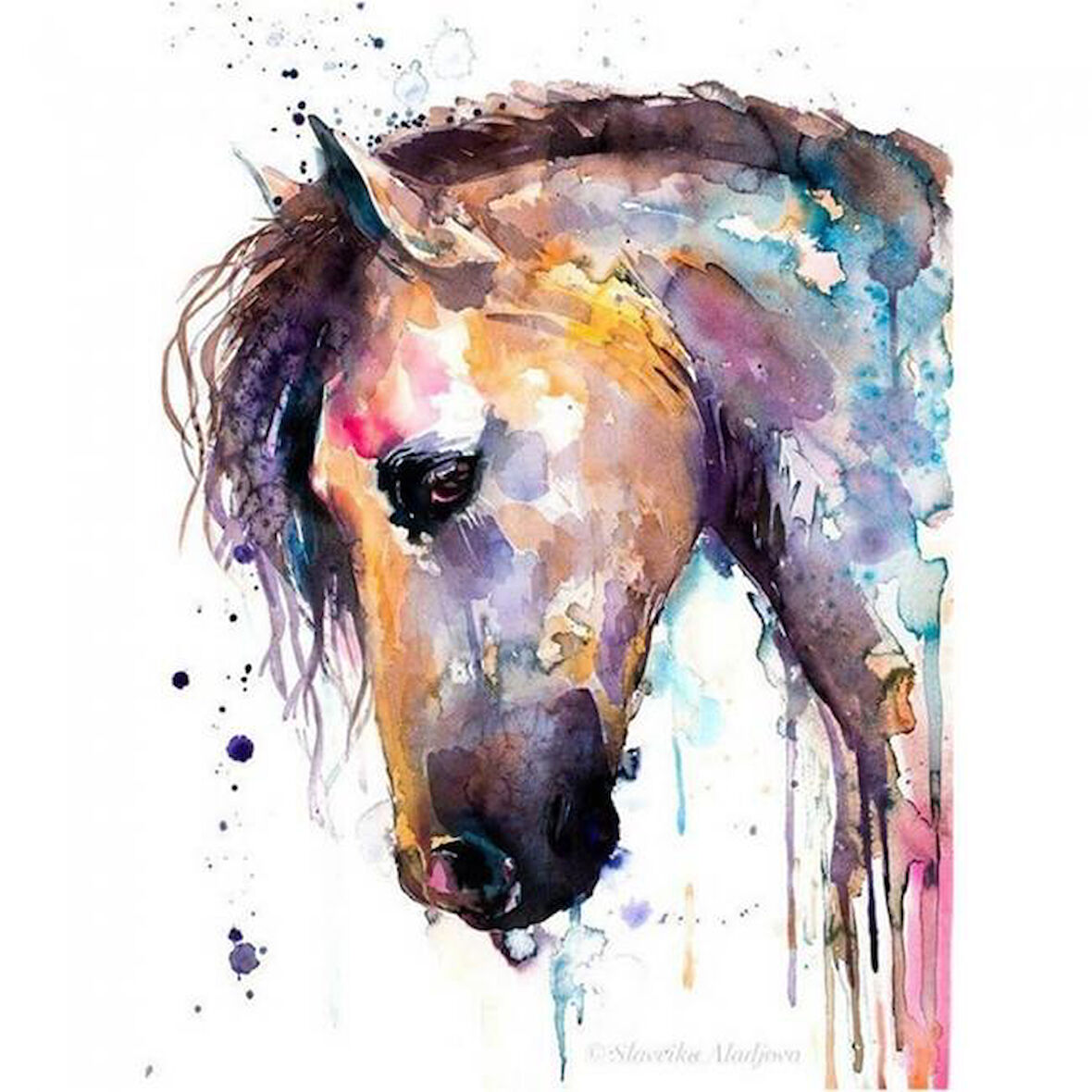 Canvas Renkli At Renkli Sayılarla Boyama Seti  Kasnaklı 40 x 50 cm