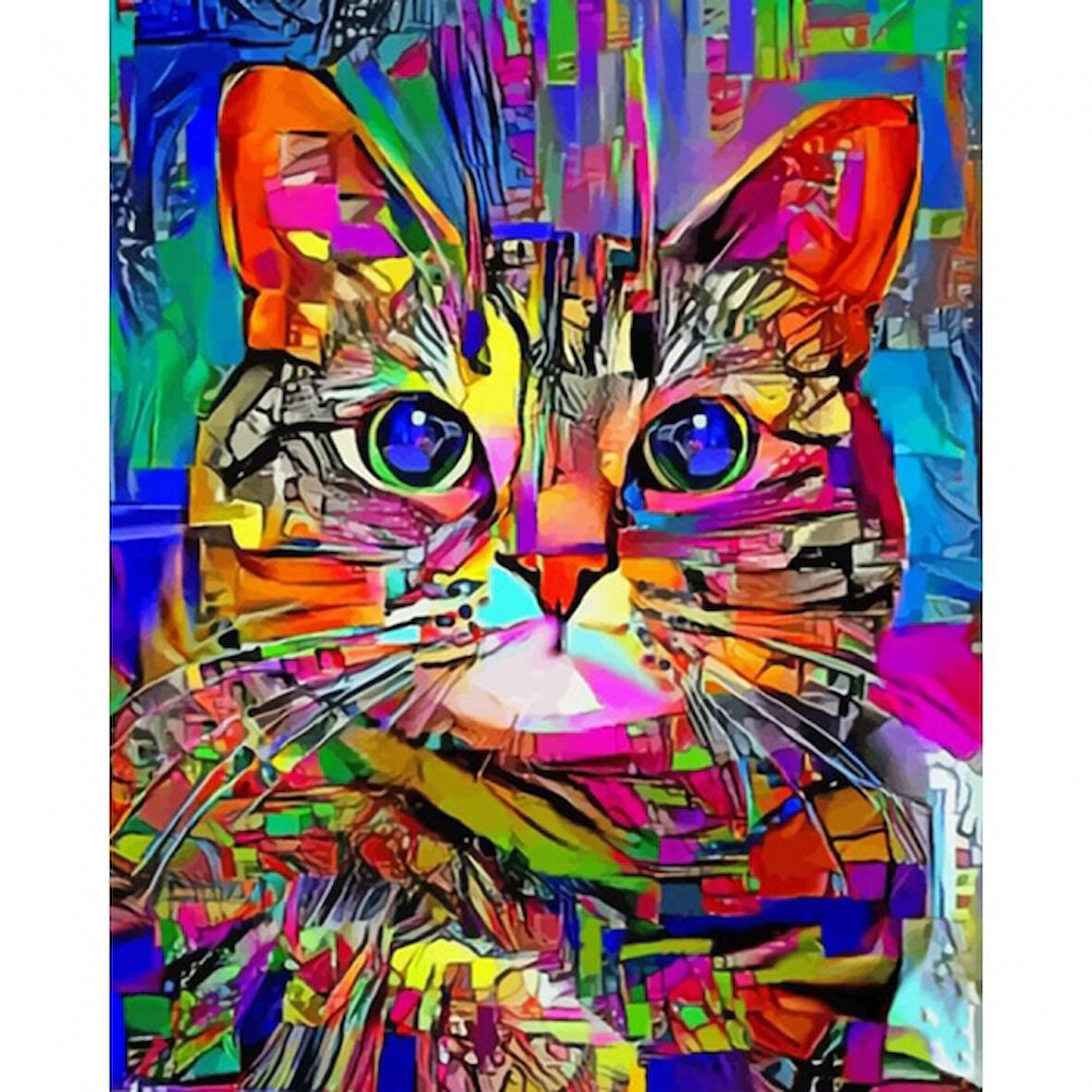 Canvas Renkli Kedi 2 Sayılarla Boyama Seti  Kasnaklı 40 x 50 cm