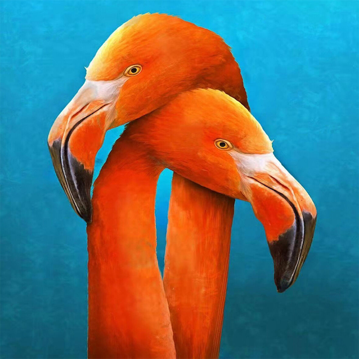 Canvas Sarilan Flamingo Sayılarla Boyama Seti  Kasnaklı 40 x 50 cm