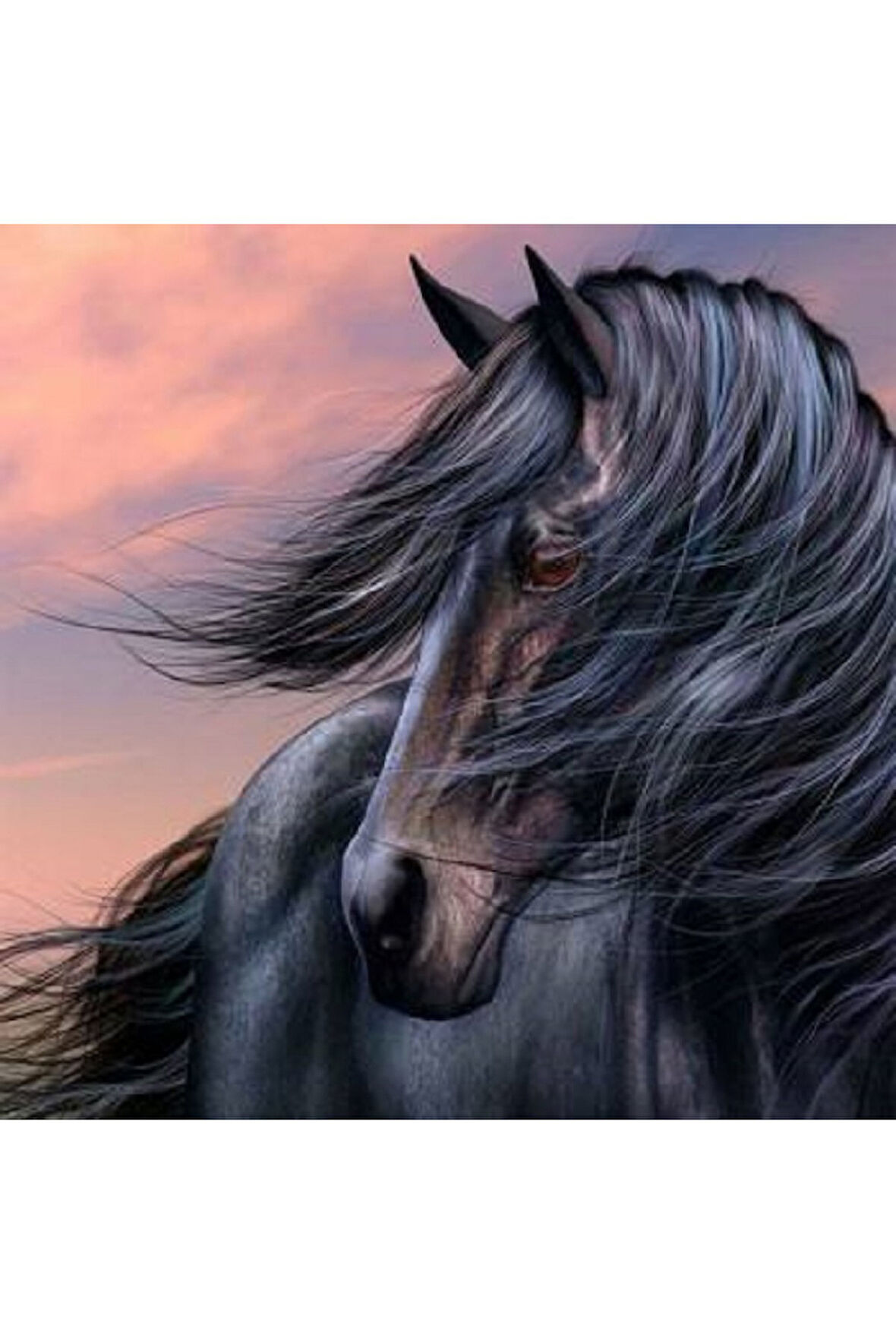 Canvas Siyah İnci Sayılarla Boyama Seti   Kasnaklı 40 x 50 cm