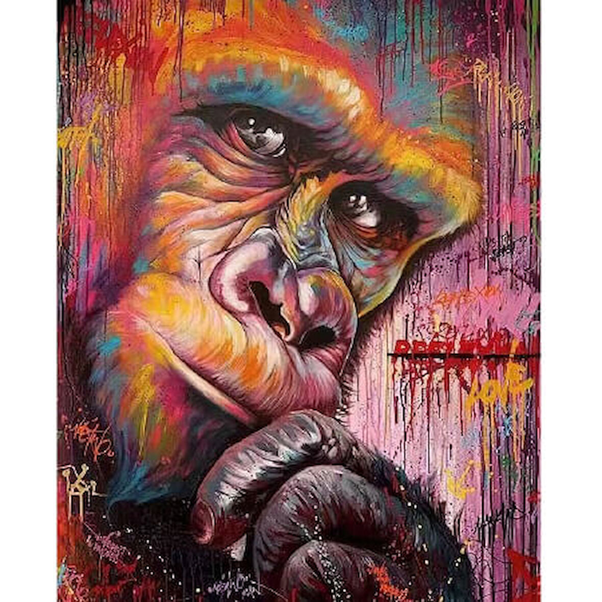 Canvas Düşünen Goril Sayılarla Boyama Seti  Kasnaklı 40 x 50 cm