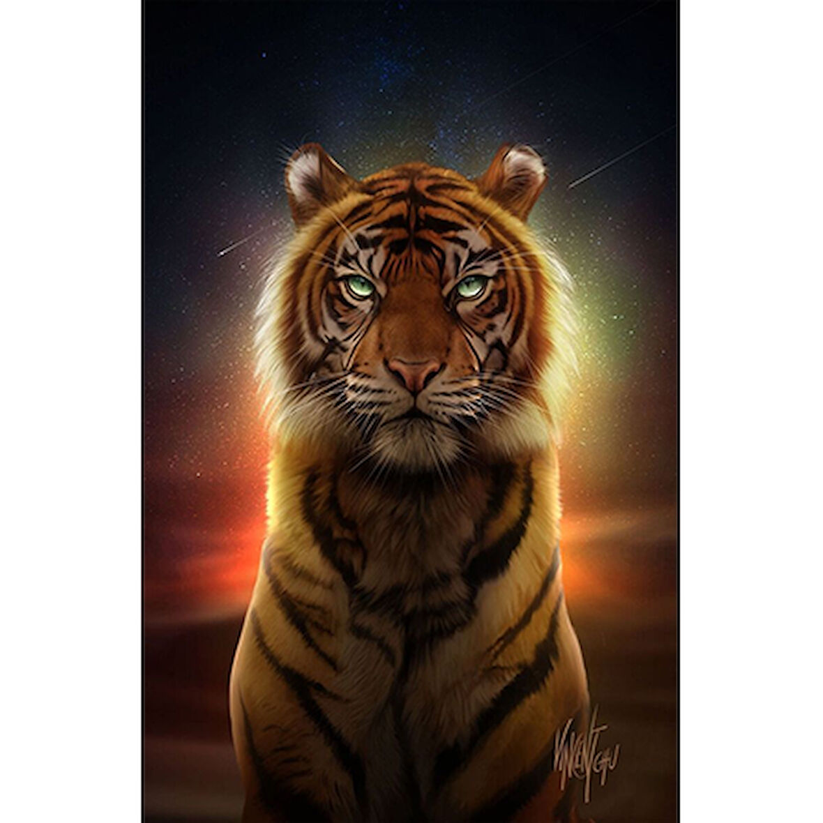Canvas Ritüel Kaplanı Sayılarla Boyama Seti  Kasnaklı 40 x 50 cm