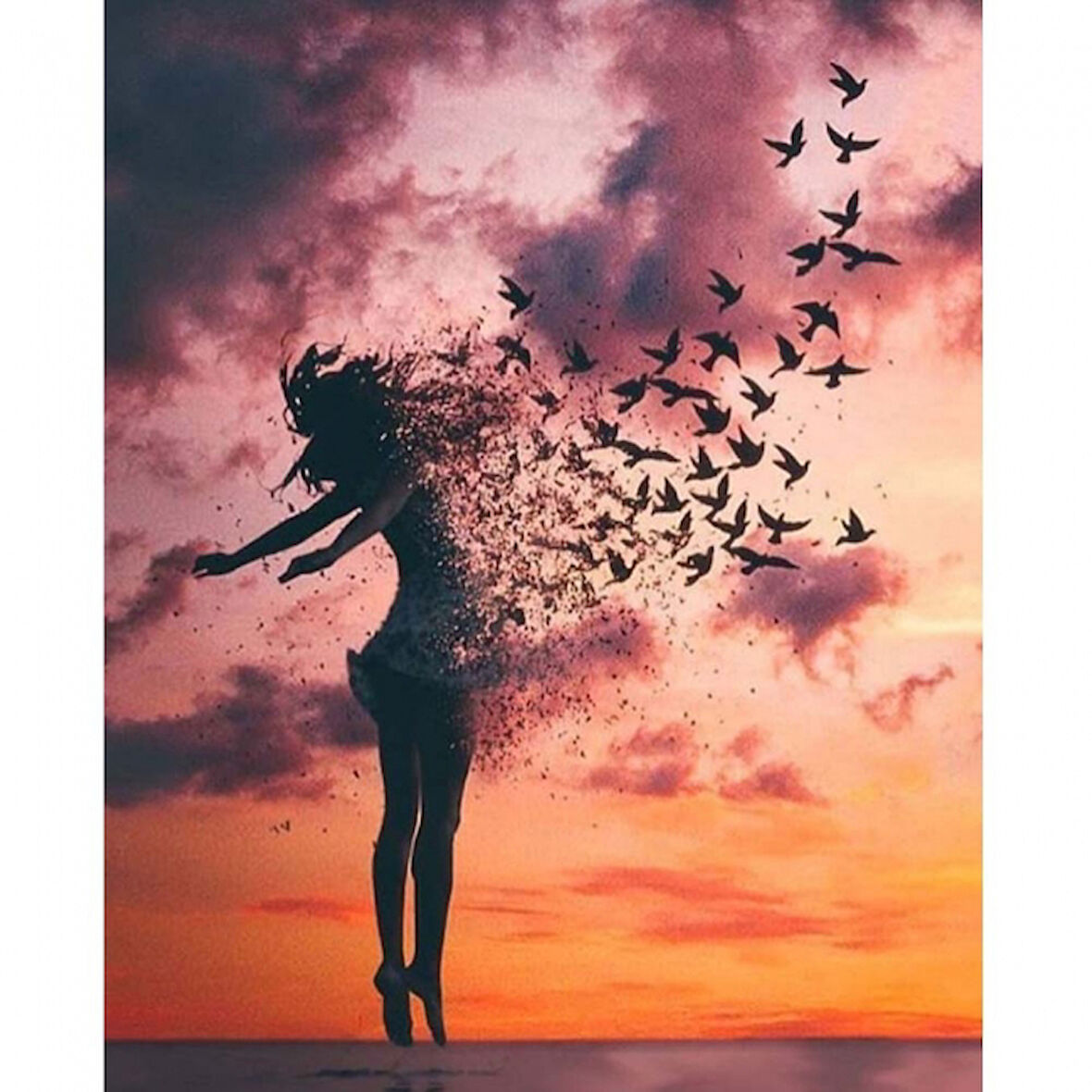 Canvas Uçan Kadın Sayılarla Boyama Seti  Kasnaklı 40 x 50 cm