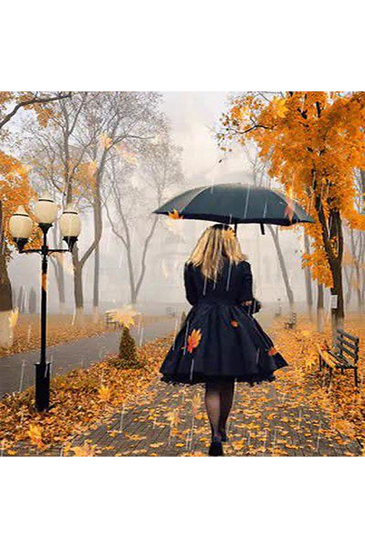 Canvas Sonbahar Ve Kadın Sayılarla Boyama Seti   Kasnaklı 40 x 50 cm