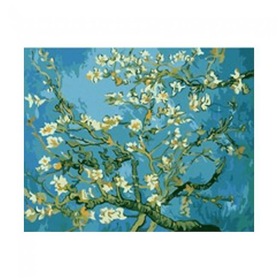 Canvas Van Gogh Badem Çiçekleri  Kasnaklı 40 x 50 cm