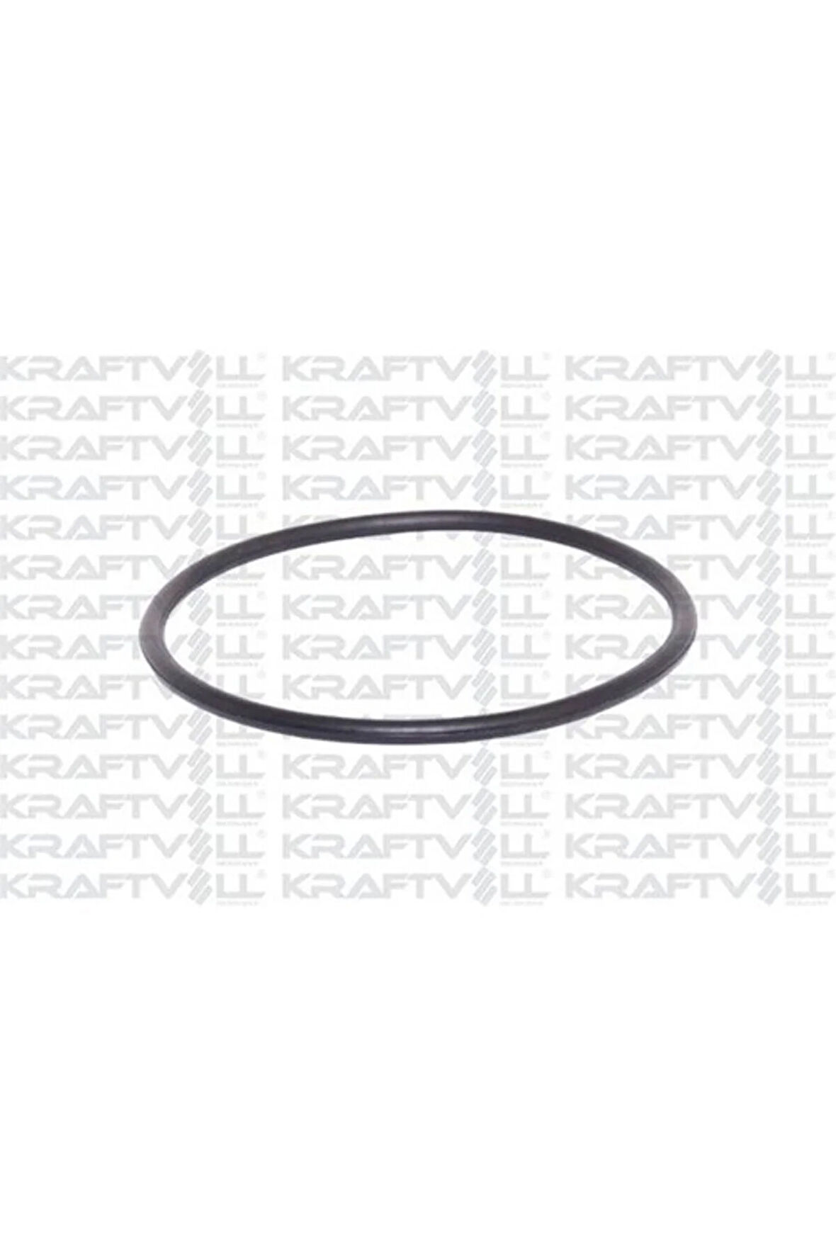 Yakıt Pompa Contası Vectra B 1,6 / 1,8 / 2,0 96 02