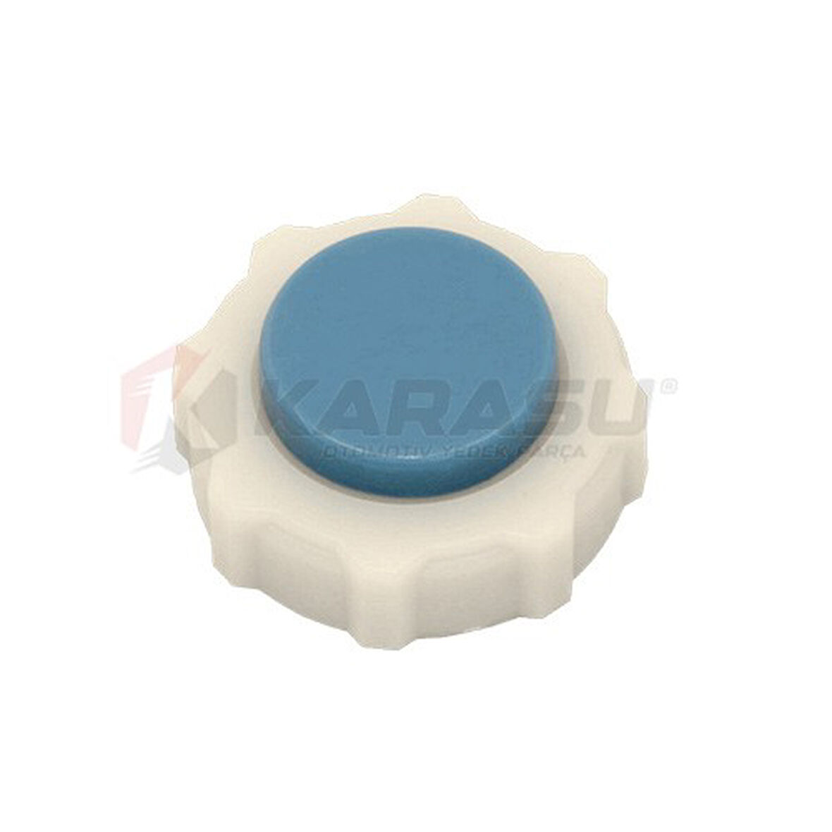 R11 R19 R21 FLASH MEGANE RADYATÖR KAPAK MAVİ