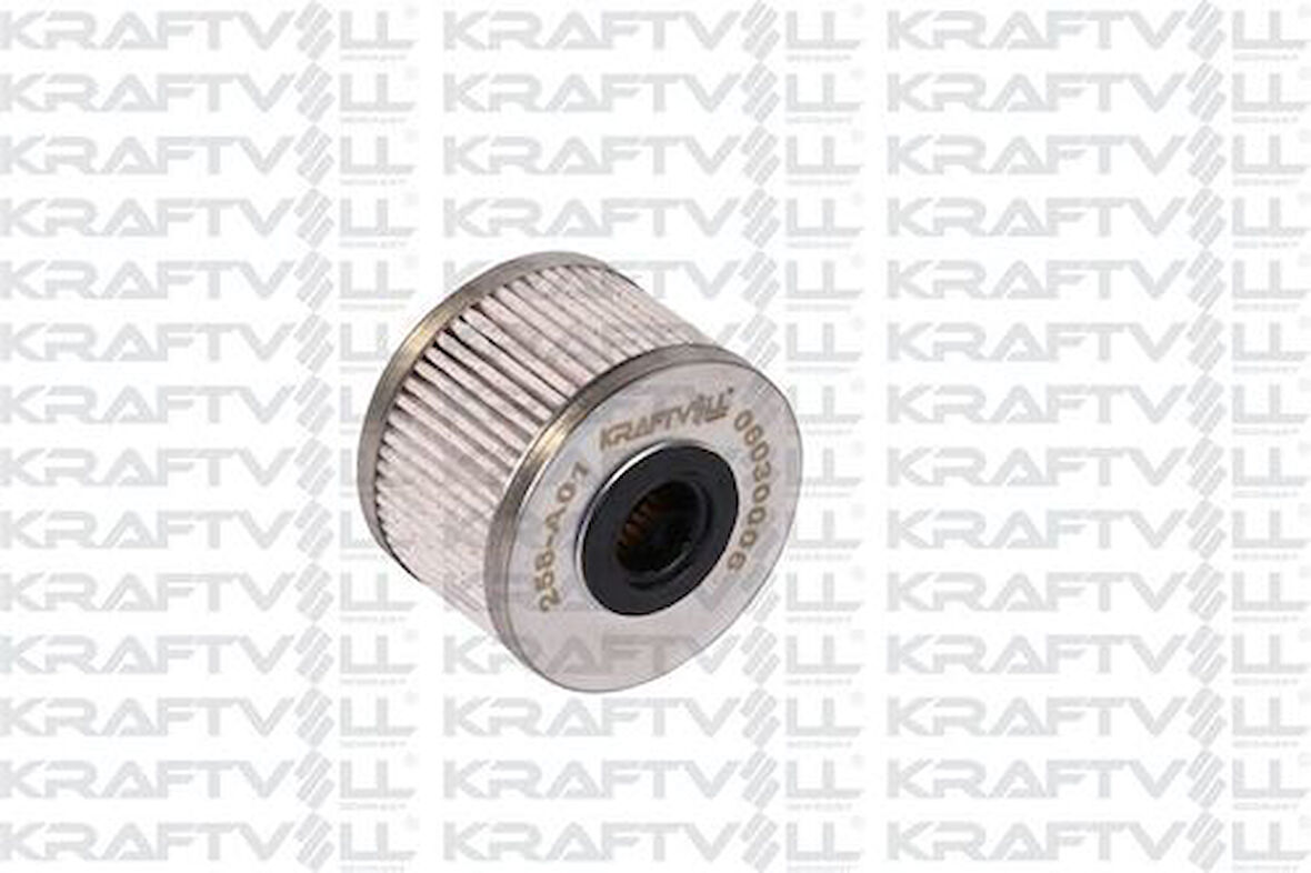 Kraftvoll 06030006 Mazot Filtresi Clio II 00-05 Kangoo 98-Megane 97-99 Laguna I 97-01 Trafic 89-01 1.9D 1.9 DTI 7701043620