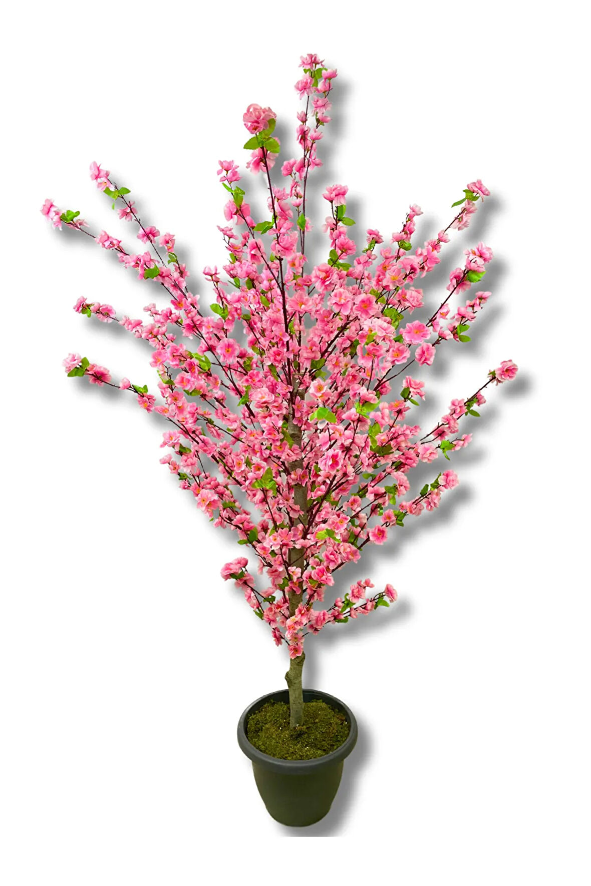 Kiraz Çiçek Pembe Bahar Dalı Yeşil Detaylı 180 Cm Üretim Saksısı