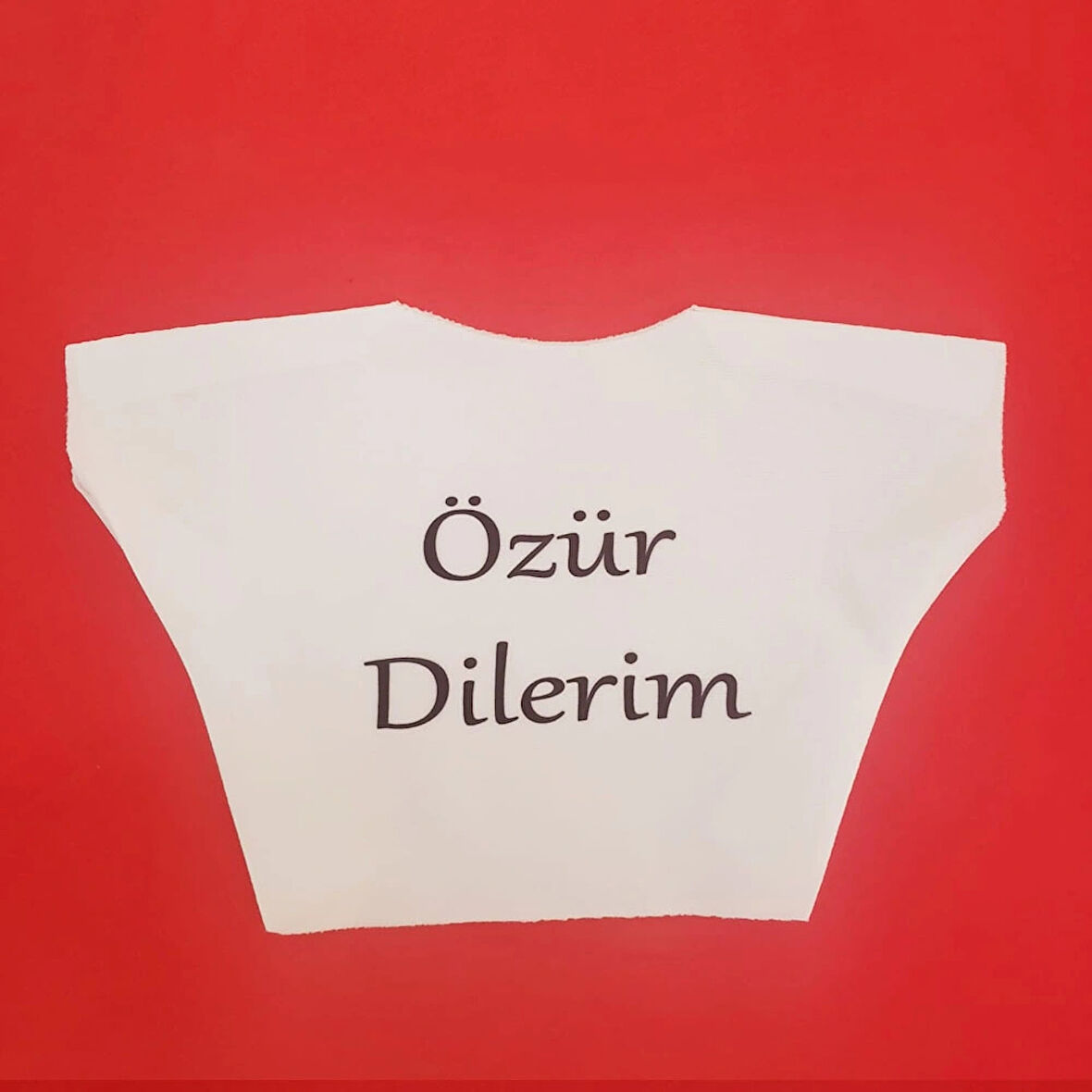 Leyloş Özür Dilerim Yazılı Peluş Oyuncak Ayı Tişörtü