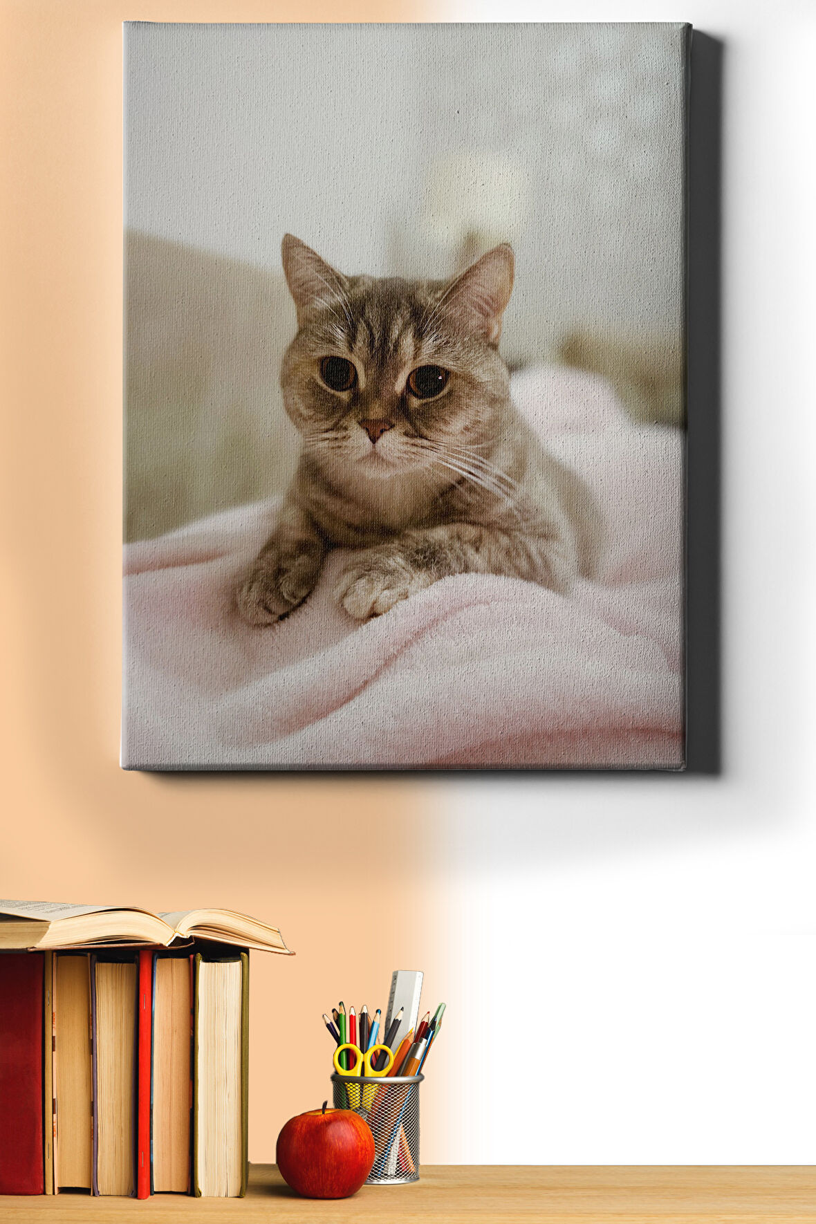 Sayılarla Boyama Seti Kasnaklı Minik Kedi 1 50x65 Cm