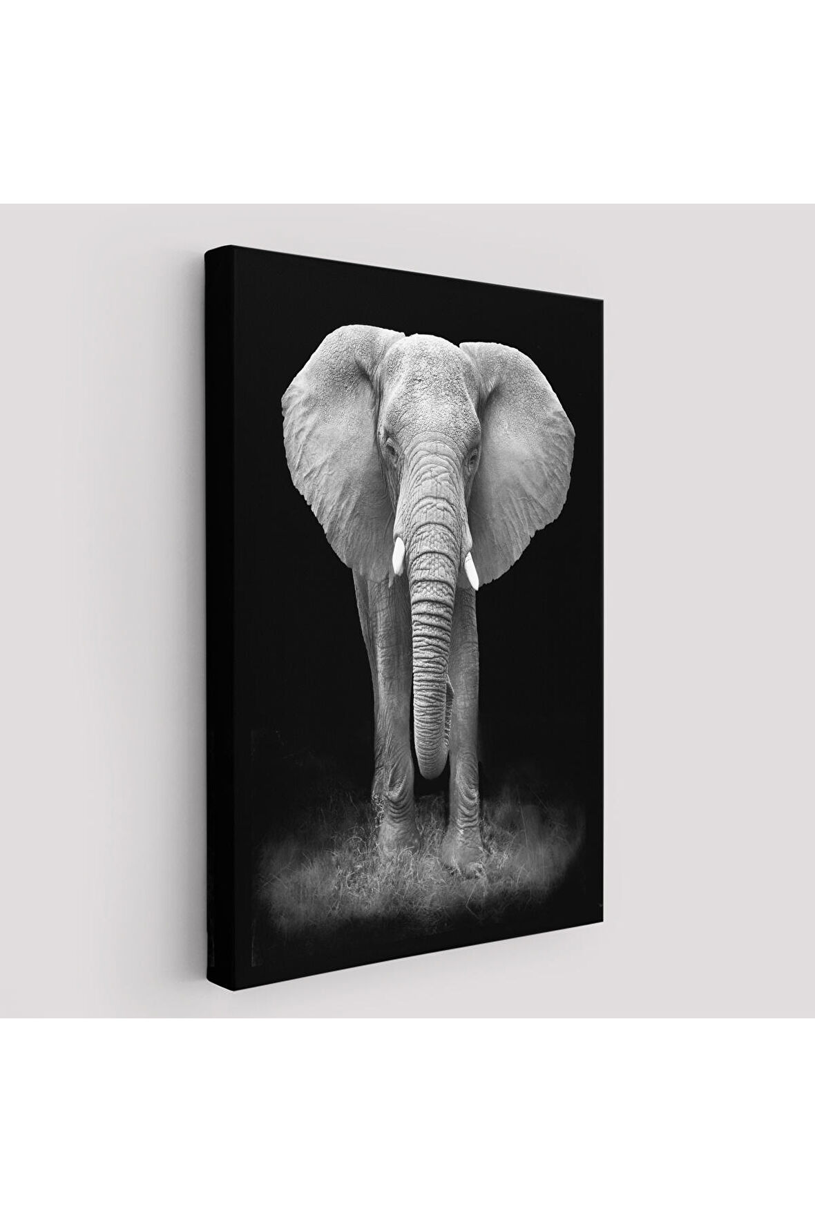 Dev Fil Yüksek Kaliteli Kanvas Canvas Tablo Tabloları