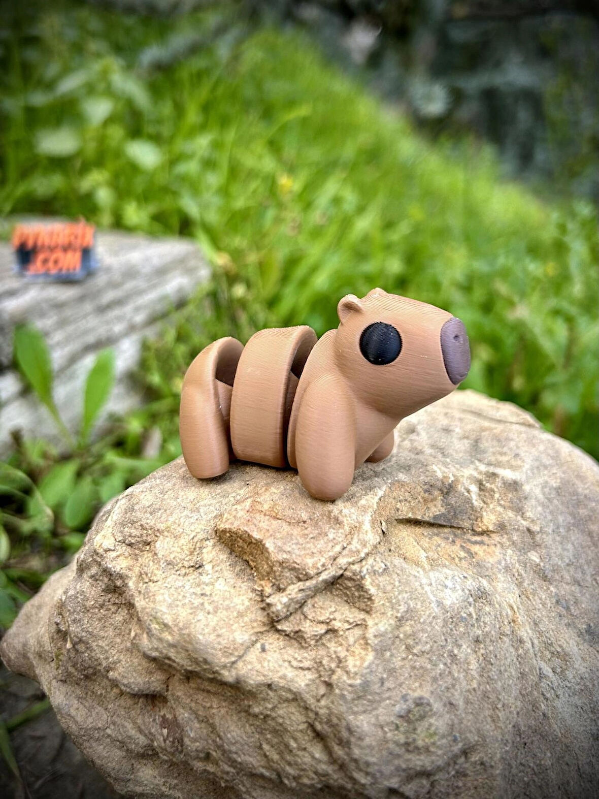 Kapibara Oyuncak -Tropikal Nehirlerinin Gizemli Dostu.🦫🐹 3d Hareketli Organik Model - Orta Boy