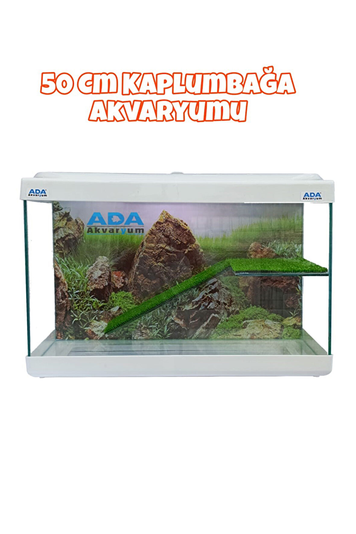 Ada Akvaryum Su Kaplumbağası Akvaryumu Bahçeli Rampalı Dinlenme  50x30x25 Cm  Arka Plan Hediyeli