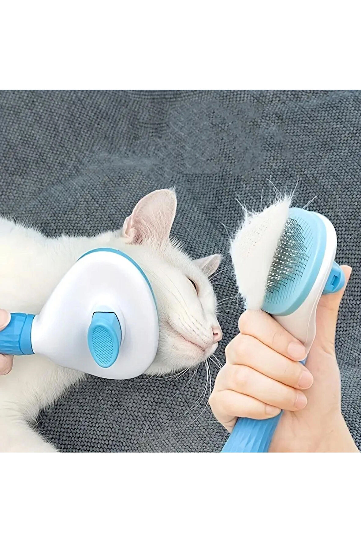 1 adet Kedi Köpek Pet Bakım Fırçası - Saçlar için Kolay Temizlik Yüzen Tarak (Renkli)