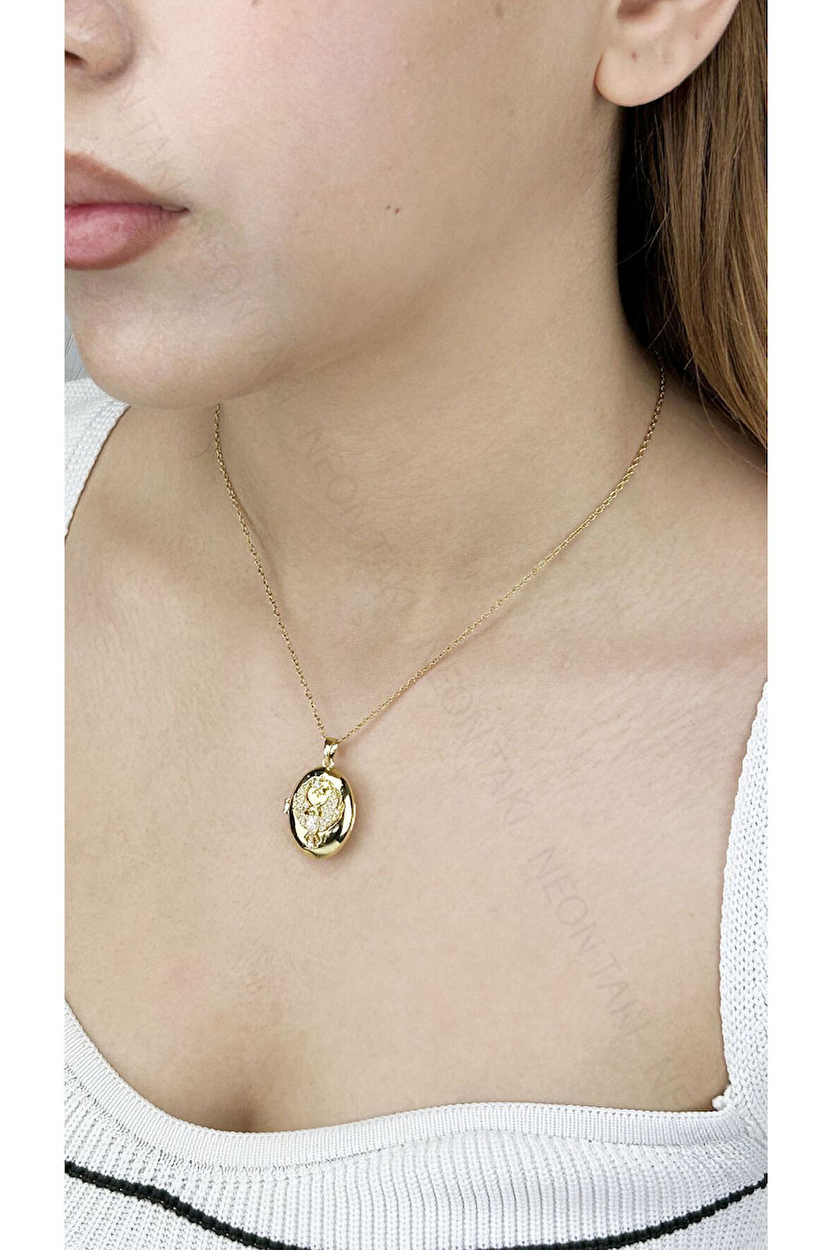 Zirkon Taşlı, Alya, Kapaklı, Paslanmaz Çelik Kolye 387, Altın Renk