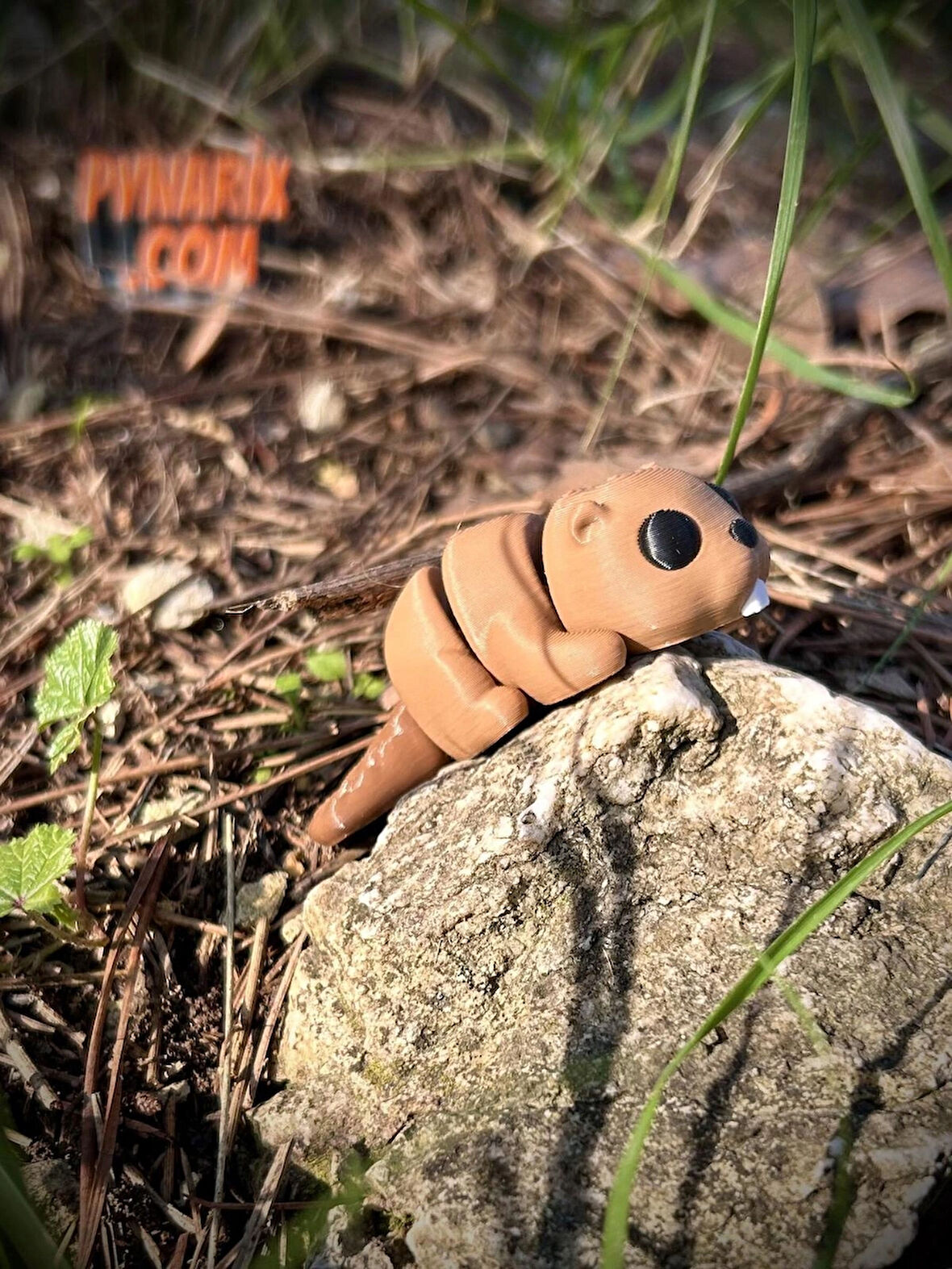 Oyuncak Kunduz - “Doğanın Mimarı Oyun Dünyanızın Mühendisi!🦫3D Hareketli Organik Model - Orta Boy