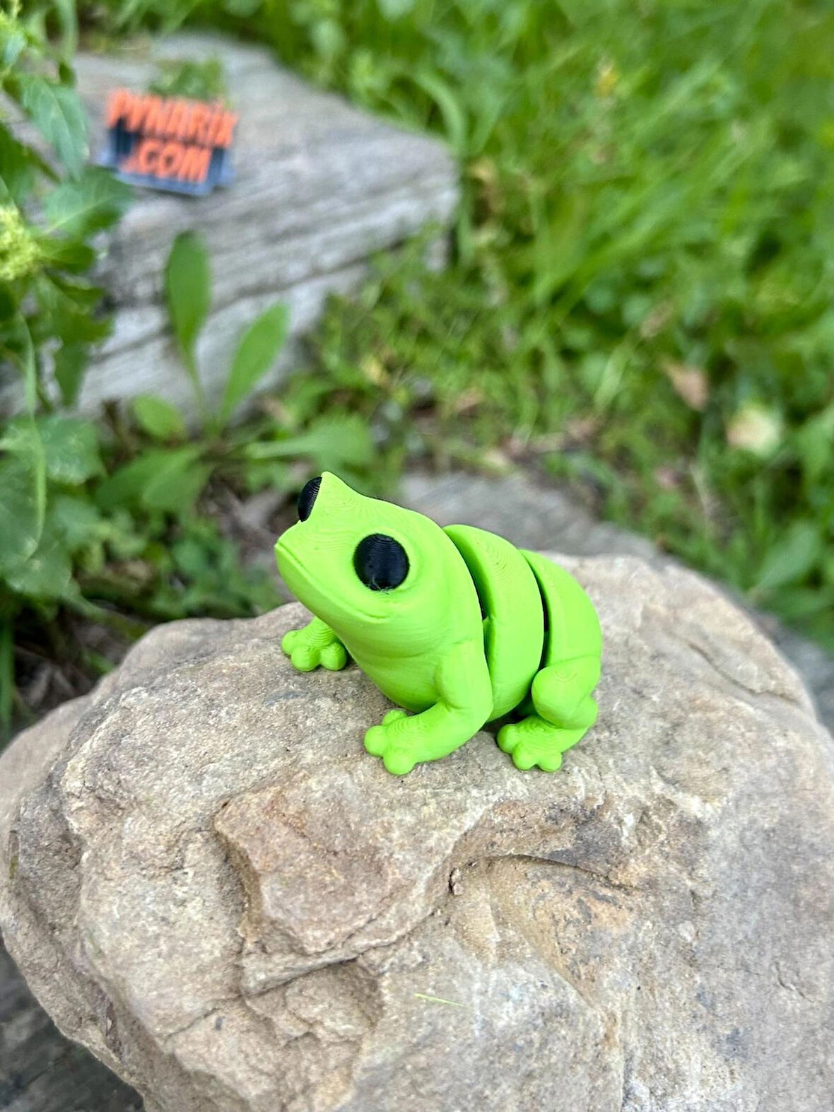 Oyuncak Kurbağa - Zıplamanın Neşesi! 🐸🌿 3D Hareketli Organik Model - Orta Boy