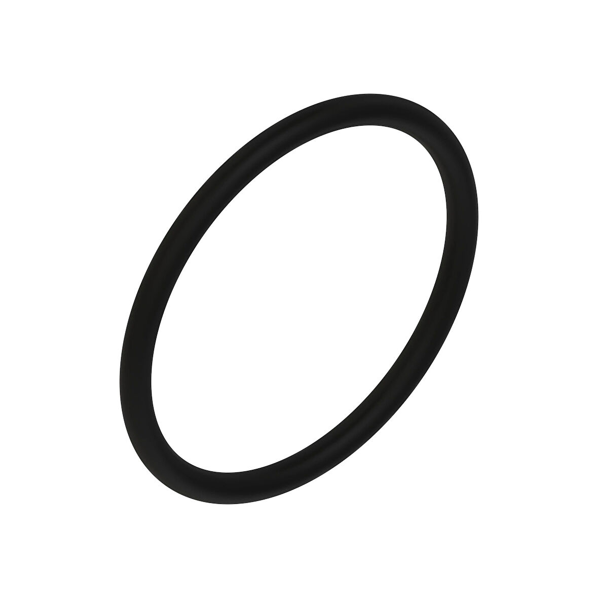 O-Ring L53861
