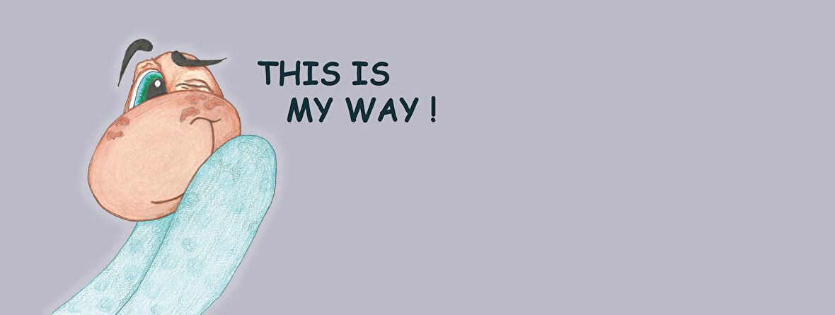 This is my way ( Bu benim yöntemim ENG) Hediye Kupa Love Bug-T