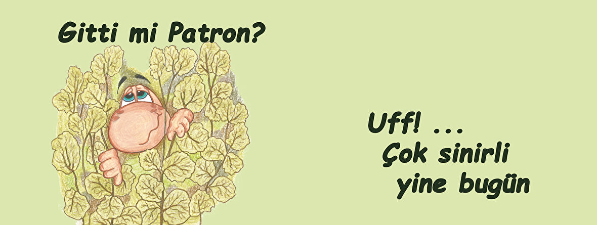 Gitti mi patron?  Çok sinirli yine bugün Hediye Kupa Love Bug-T