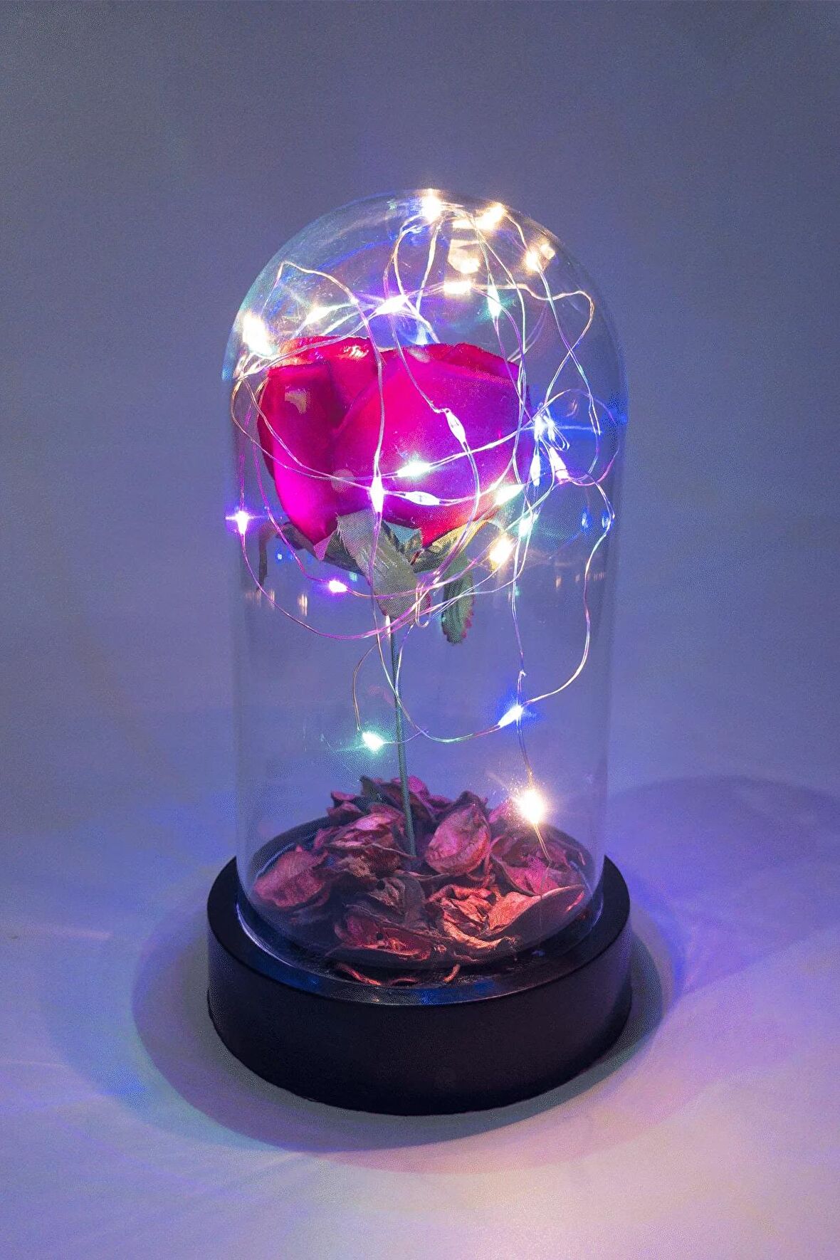 Ters Fanus Mika Cam Doğum Günü Hediyesi Rgb Peri Led Işıklı Ve Solmayan Kırmızı Güllü Lamba