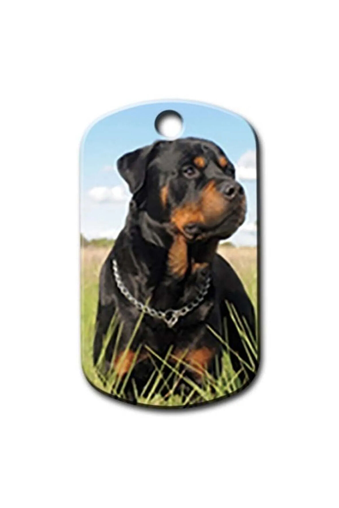 Rottweiler Resimli Köpek Künyesi Small
