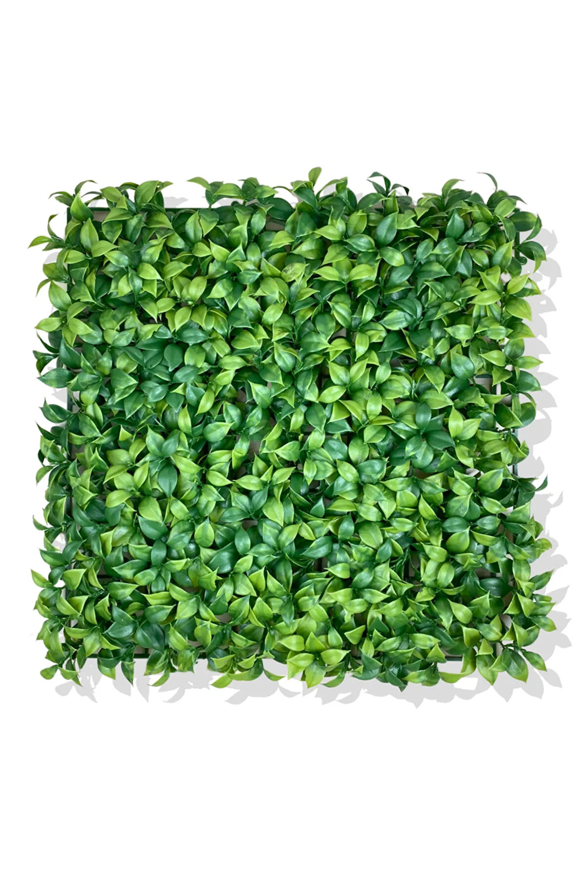 YAPAY AÇIK YEŞİL LİMON YAPRAĞI BİTKİ DUVAR KAPLAMA 50X50 CM