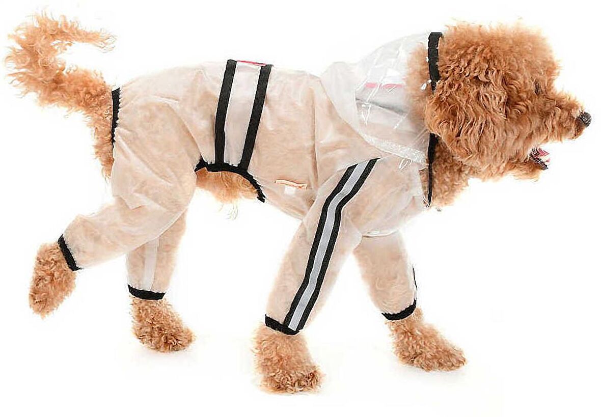 Köpek Küçük ve Orta Irk Paçalı Şeffaf Yağmurluk - Rinda