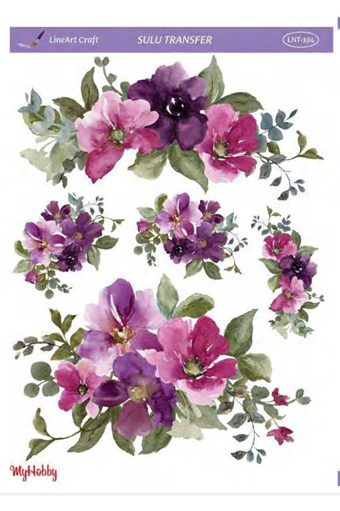 Sulu transfer LNT104