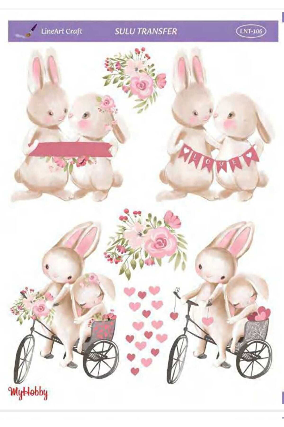 Sulu transfer LNT106