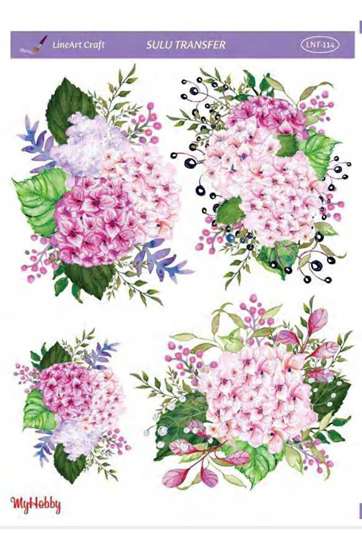 Sulu transfer LNT114