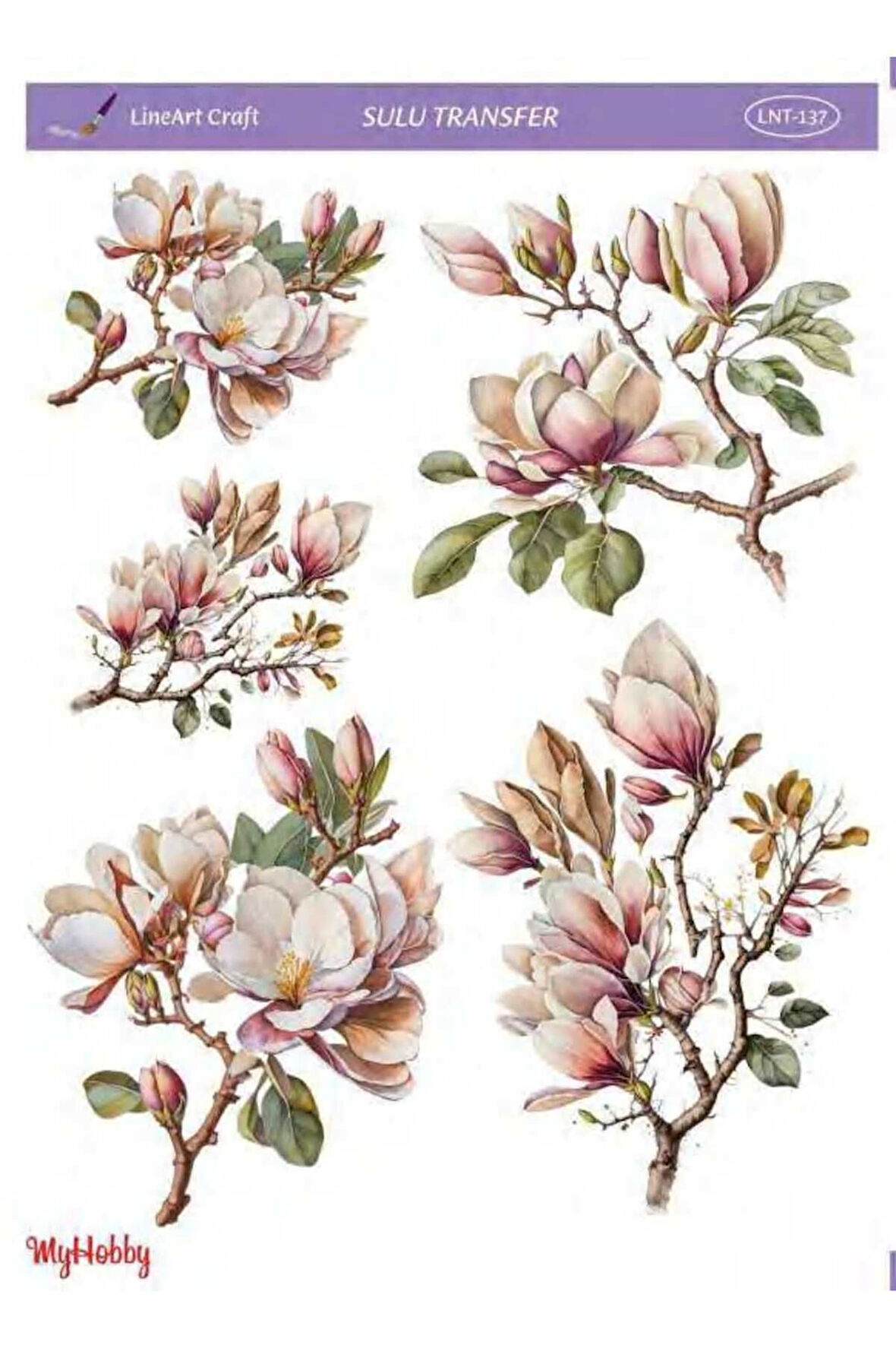 Sulu transfer LNT137