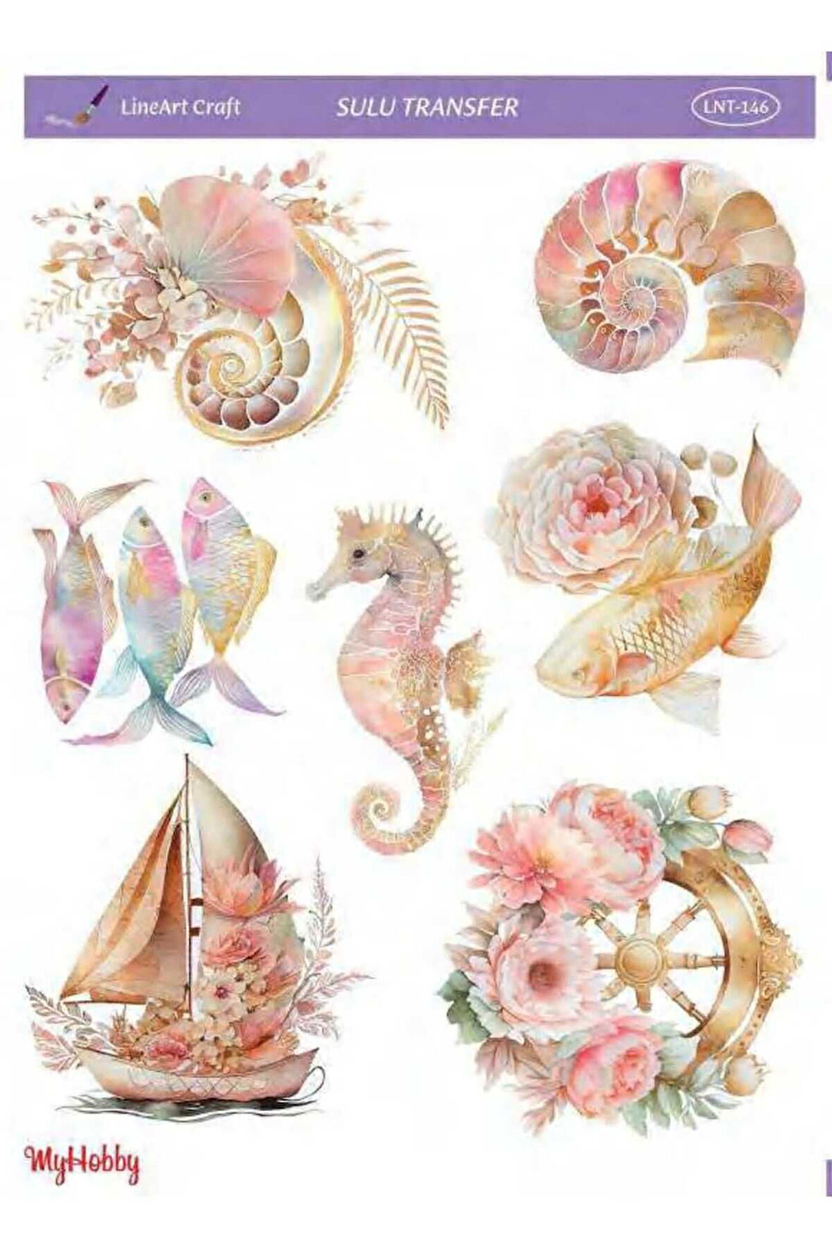 Sulu transfer LNT146