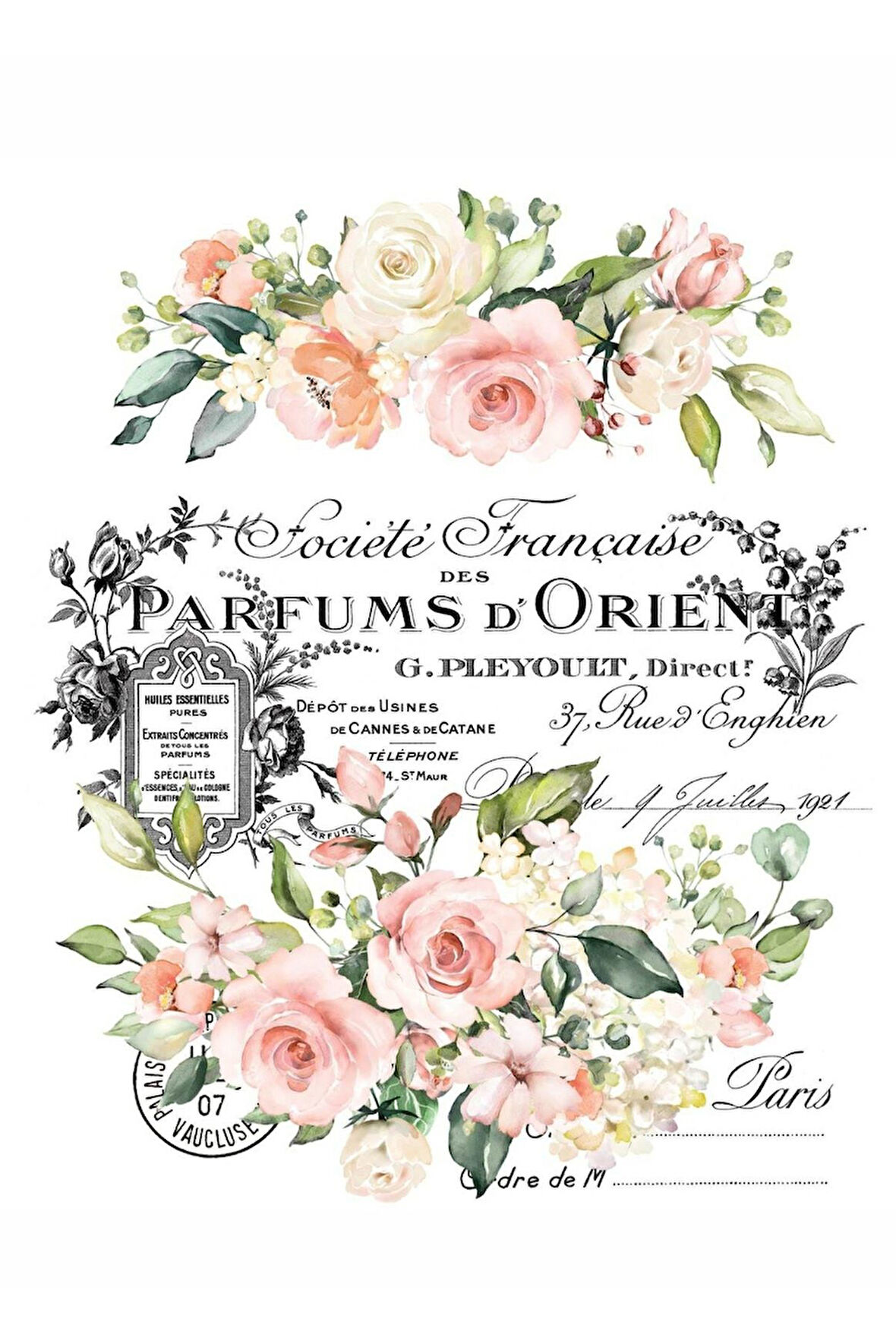 Sulu Transfer LNT149