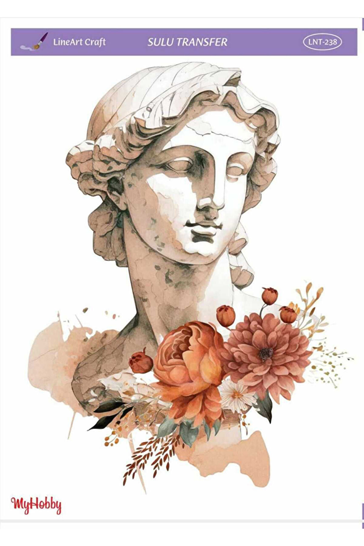 Sulu transfer LNT238