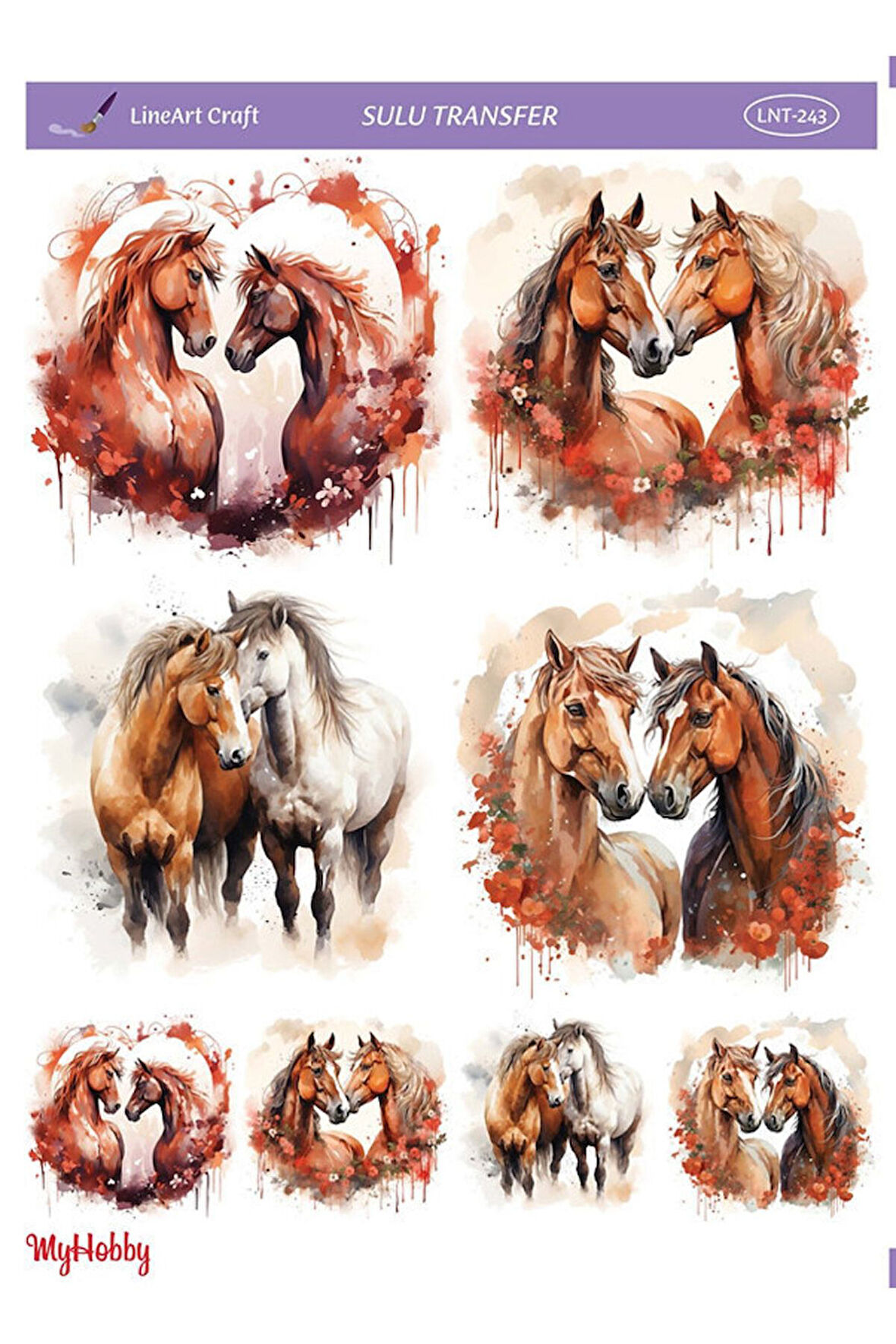 SULU TRANSFER LNT243