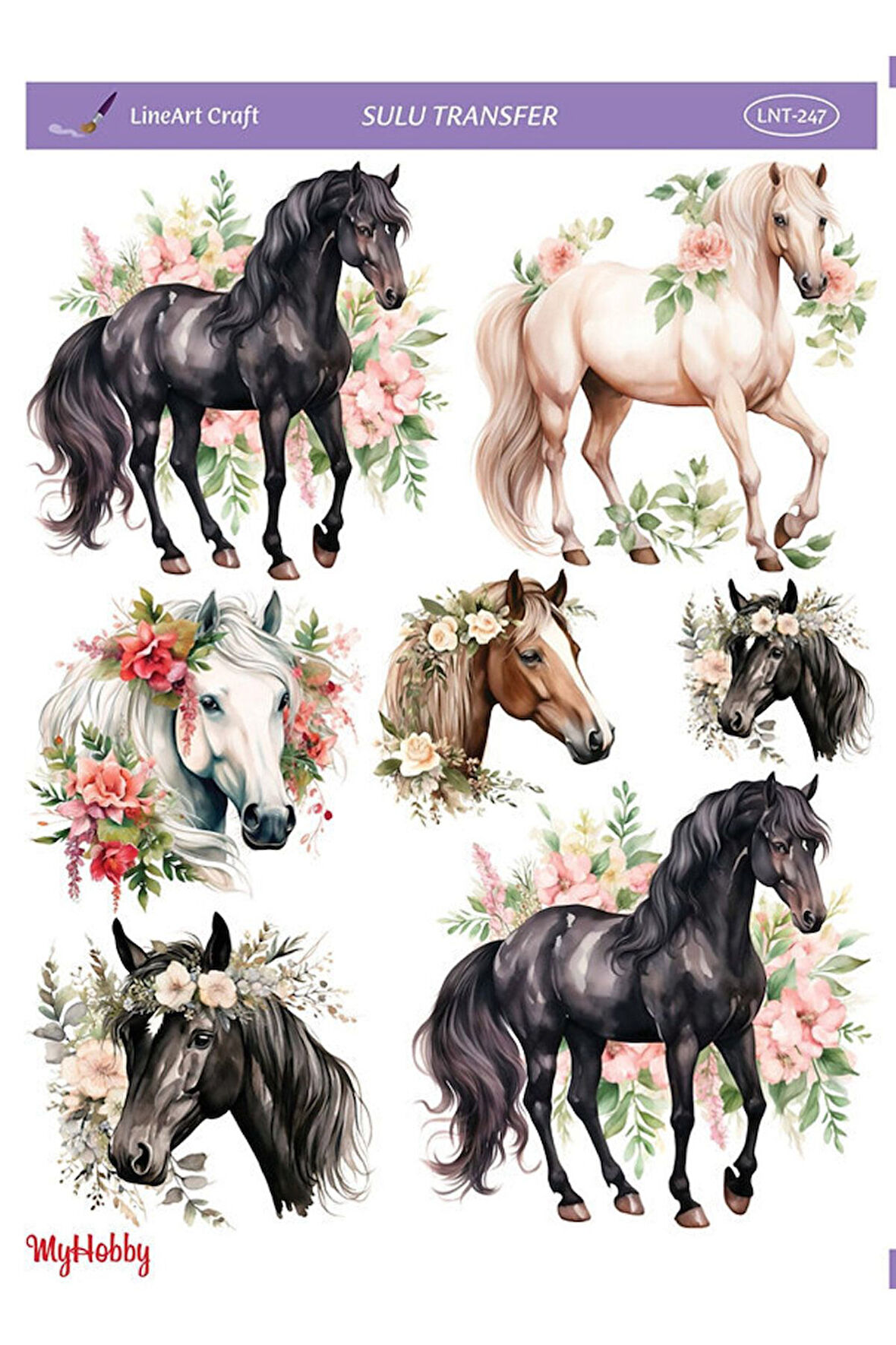 SULU TRANSFER LNT247