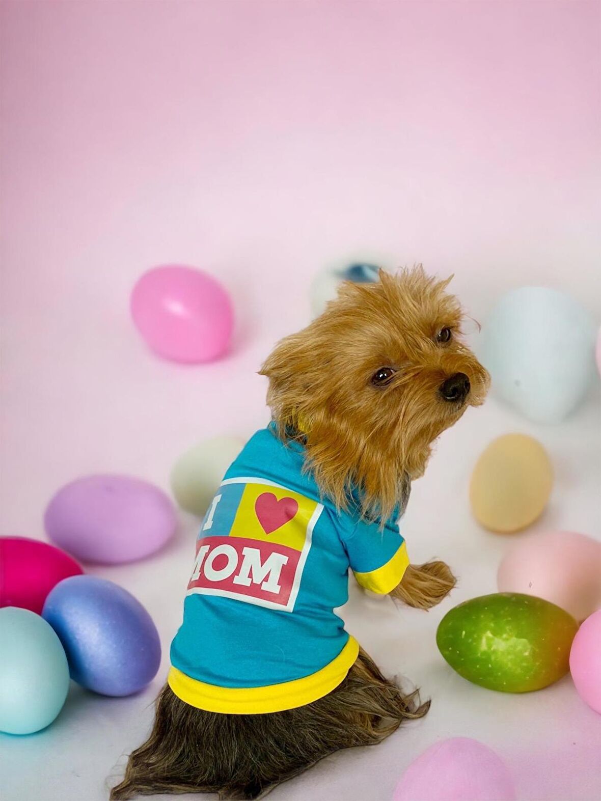 Hediye Paketli, Anneye Hediye, Love Mom Blue, Oval Yaka Tişört Köpek Kıyafeti,Elbisesi Anneler Günü, Anneye, Anne 