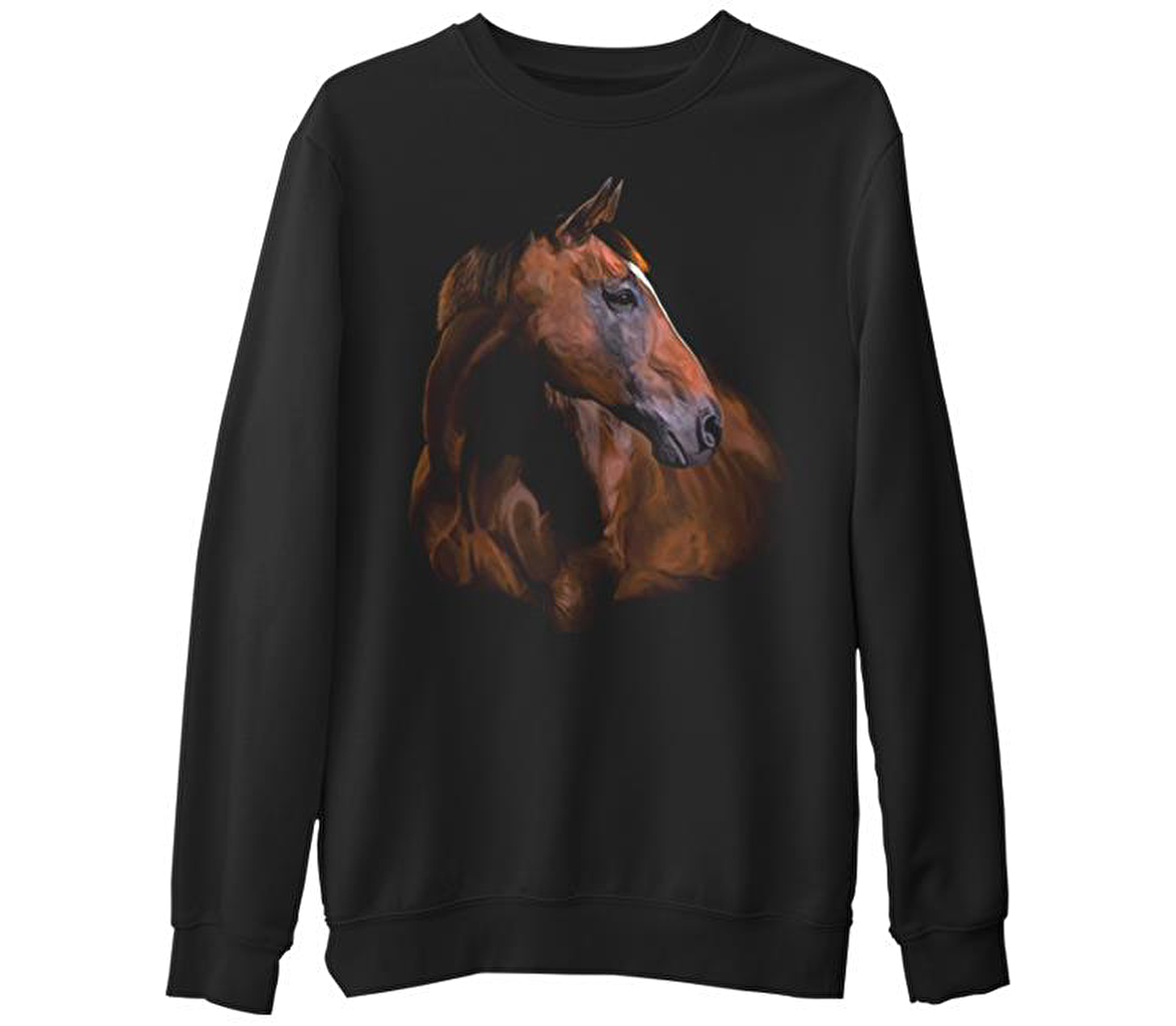 At 1  Siyah Erkek Kalın Sweatshirt