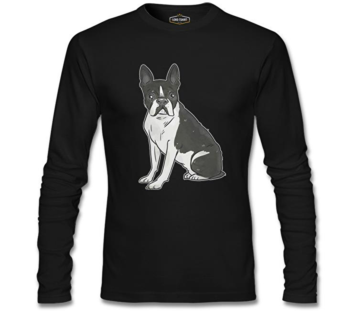 Hayvan - Köpek Terrier Siyah Erkek Sweatshirt