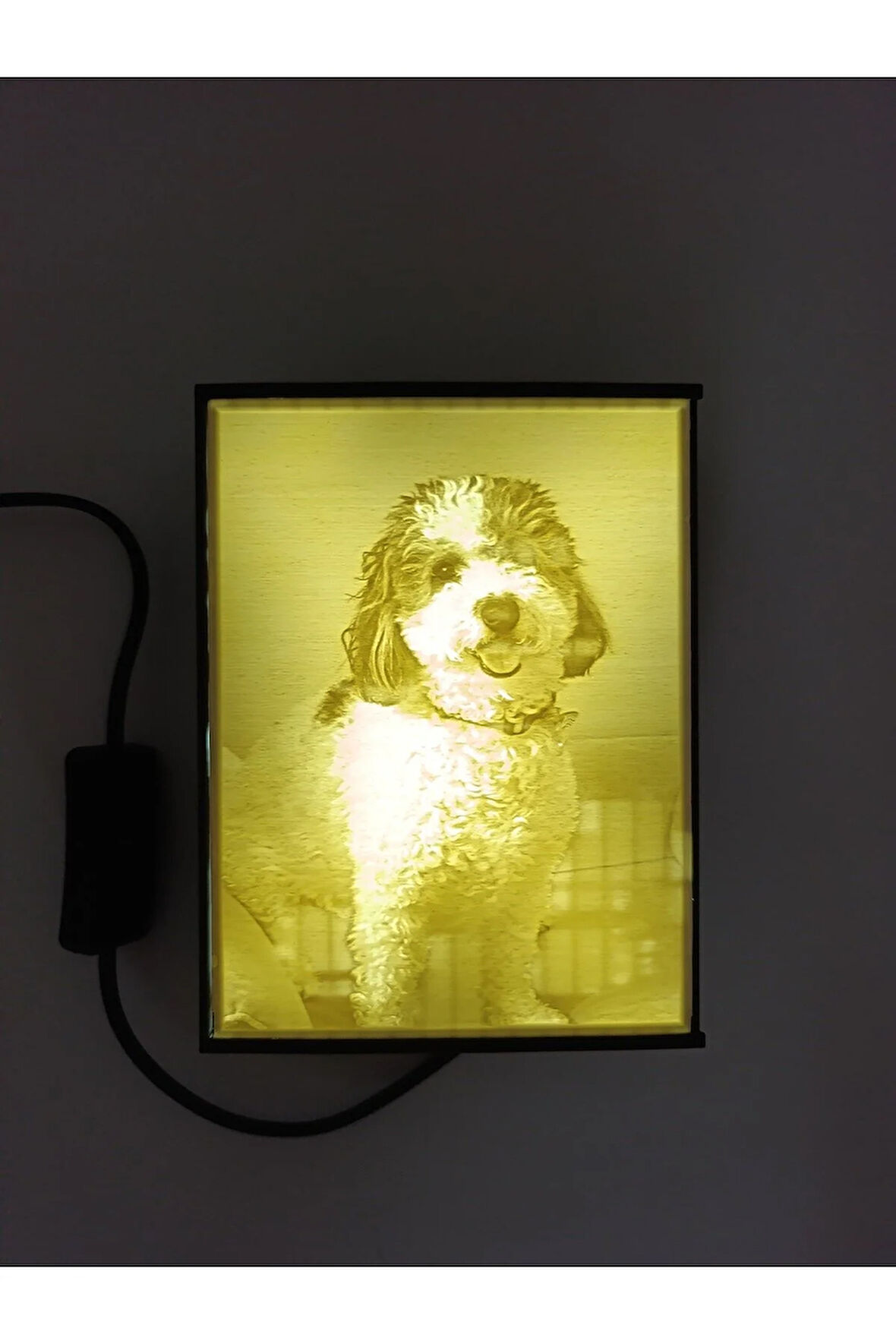 Kişiye Özel 3D Baskı LED Işıklı Fotoğraf Çerçevesi ve Lamba – Dekoratif Gece Lambası & Hediye