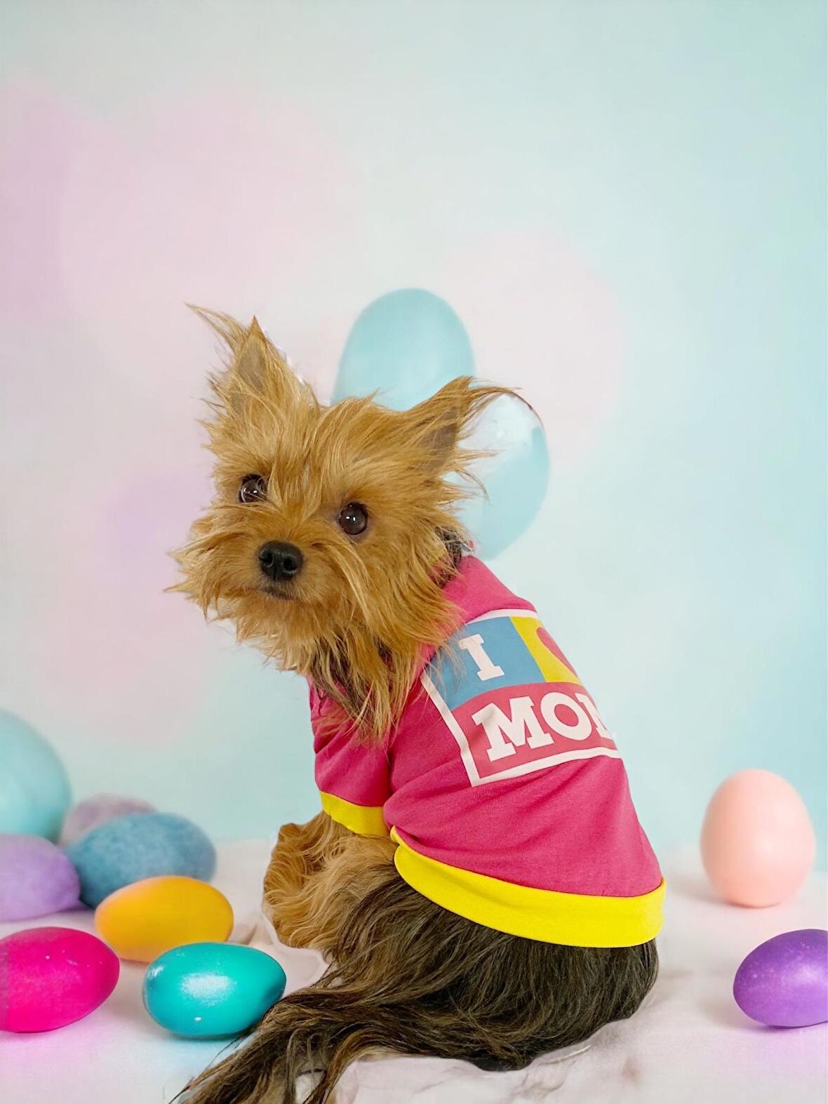 Hediye Paketli, Anneler Günü, I Love Mom Pink,Oval Yaka Tişört Köpek Kıyafeti,Elbisesi Anneler Günü, Anneye, Anne 