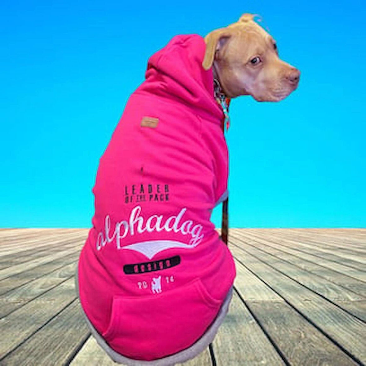 Alphadog Leader Pink Orta-Büyük Irk Köpek Sweatshirtü (11 kg-36 kg arası köpeklere uygundur)