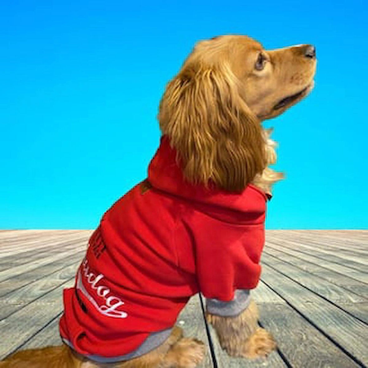 Alphadog Leader Red Orta-Büyük Irk Köpek Sweatshirtü (11 kg-36 kg arası köpeklere uygundur)